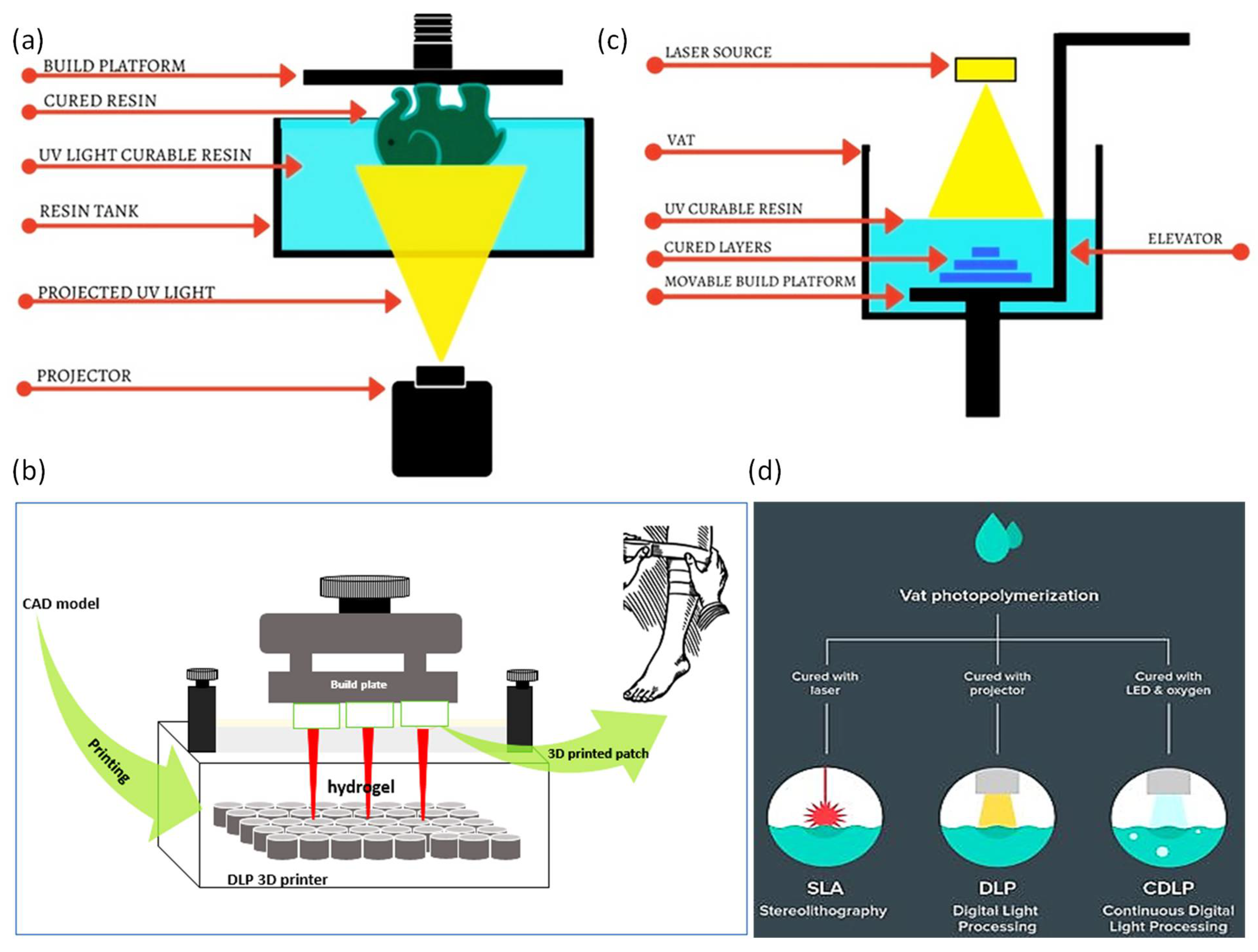 Polymers 14 01012 g005