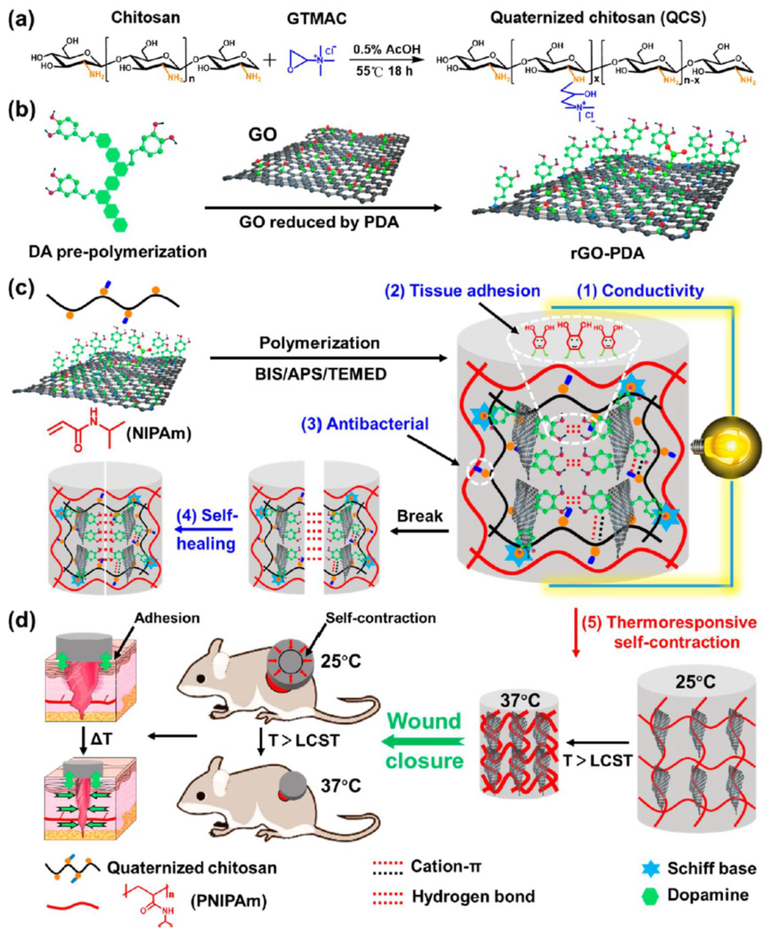 Polymers 14 01012 g007