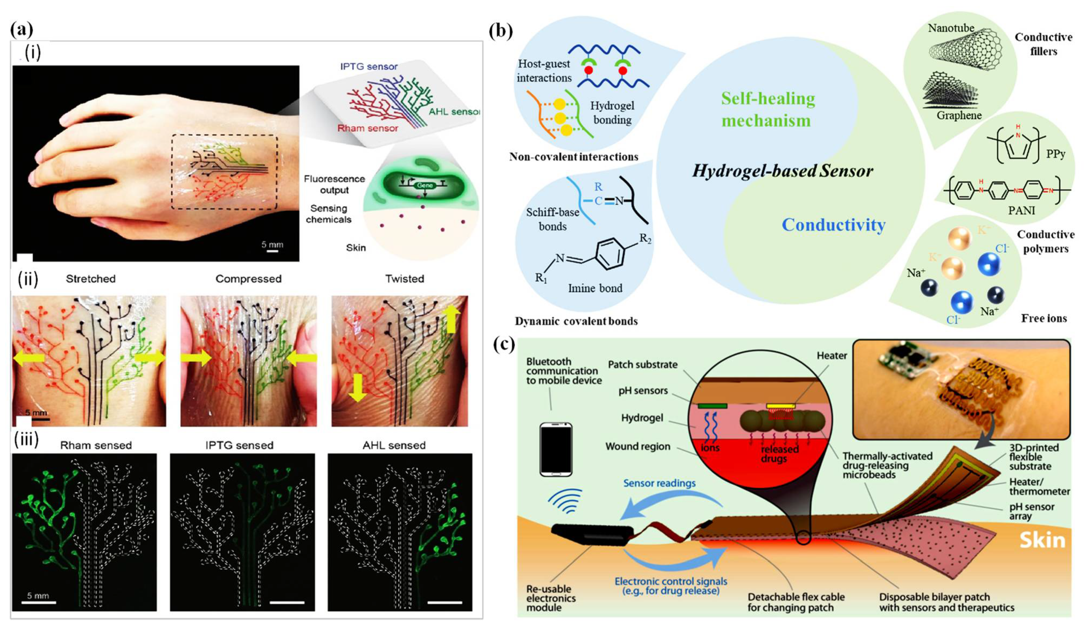Polymers 14 01012 g008