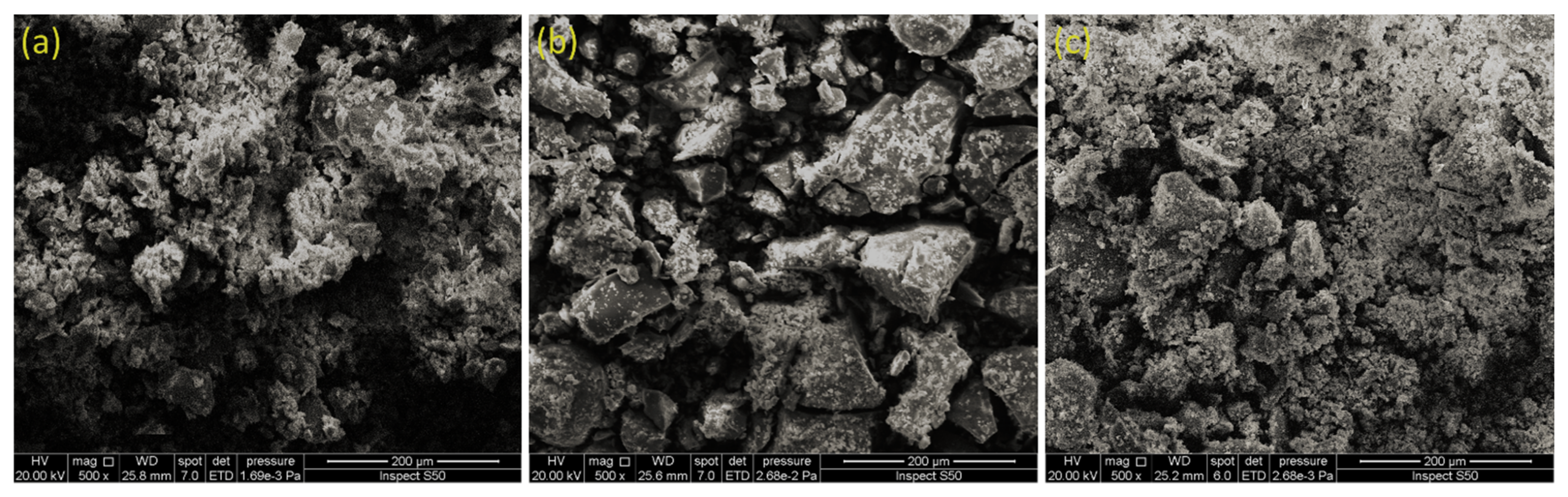 Polymers 14 01024 g001