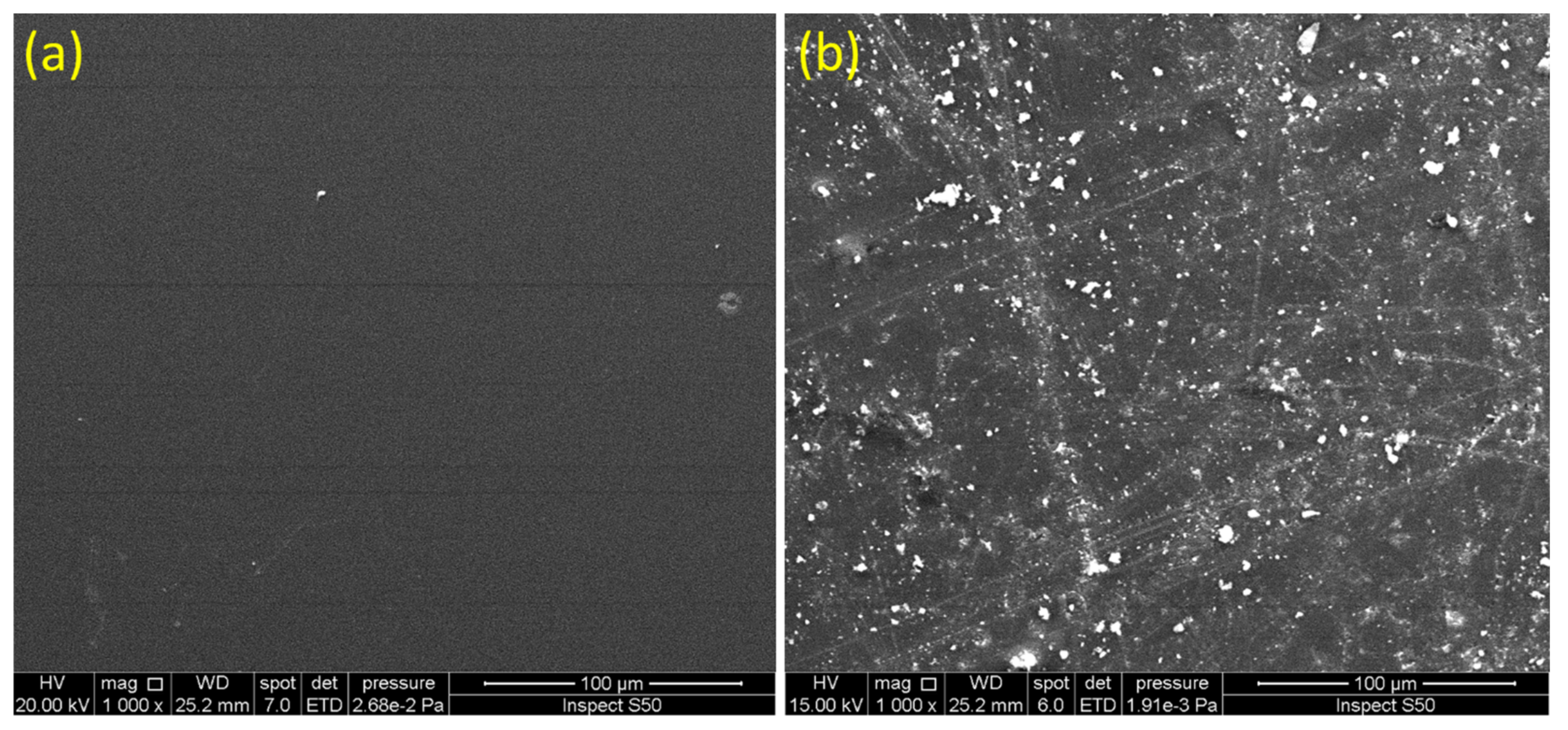 Polymers 14 01024 g007