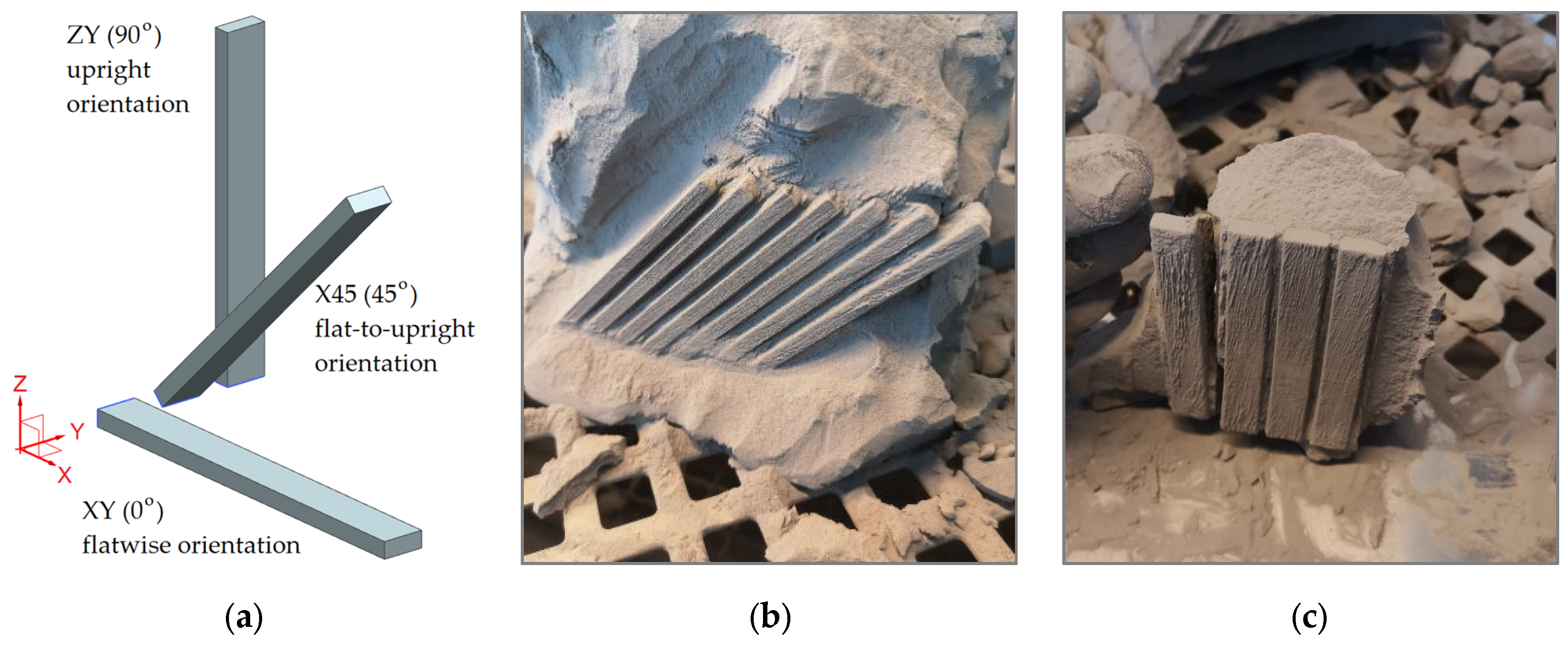Polymers 14 01026 g001