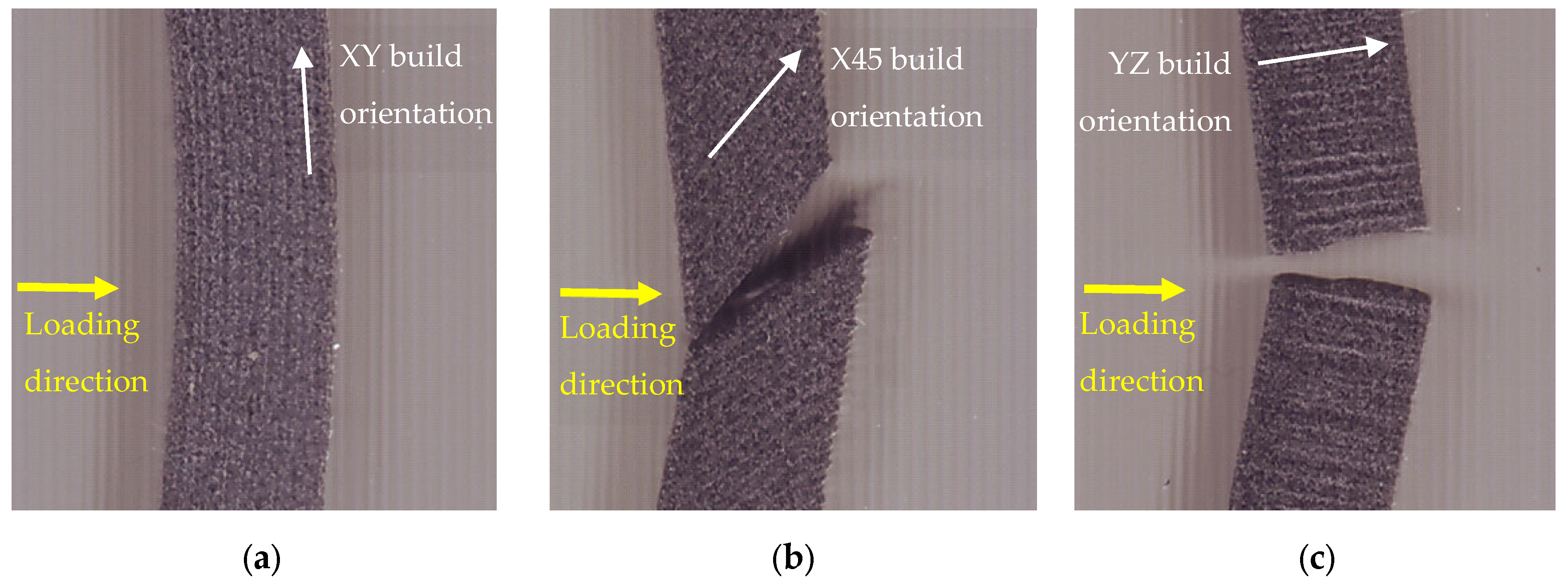 Polymers 14 01026 g005
