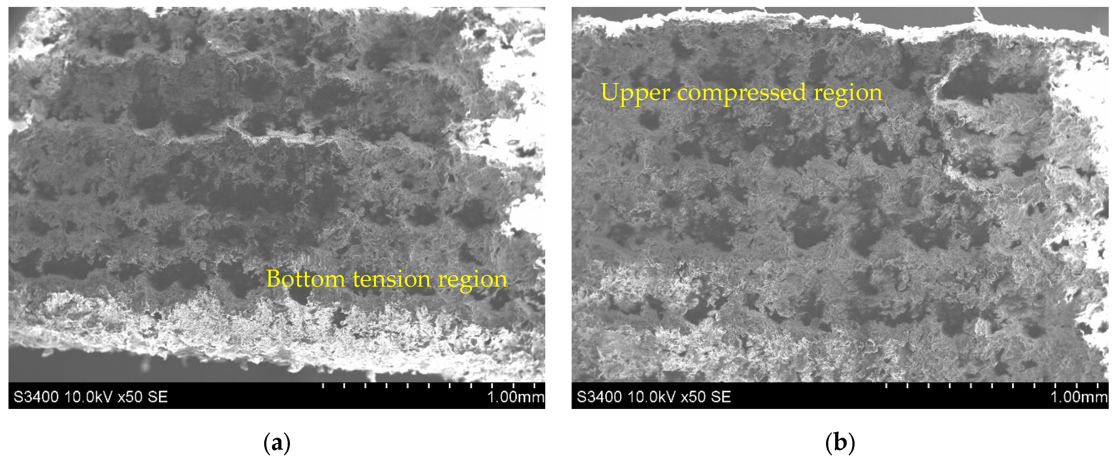 Polymers 14 01026 g006