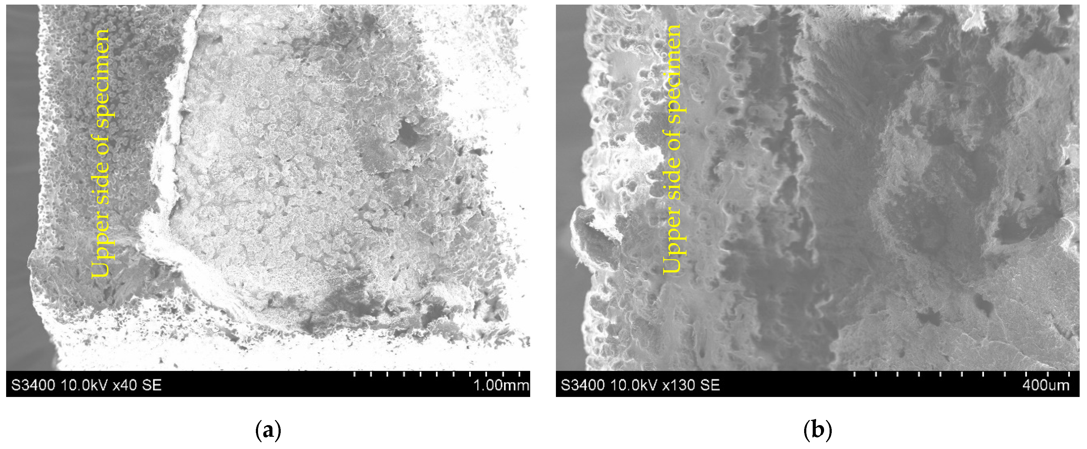 Polymers 14 01026 g007