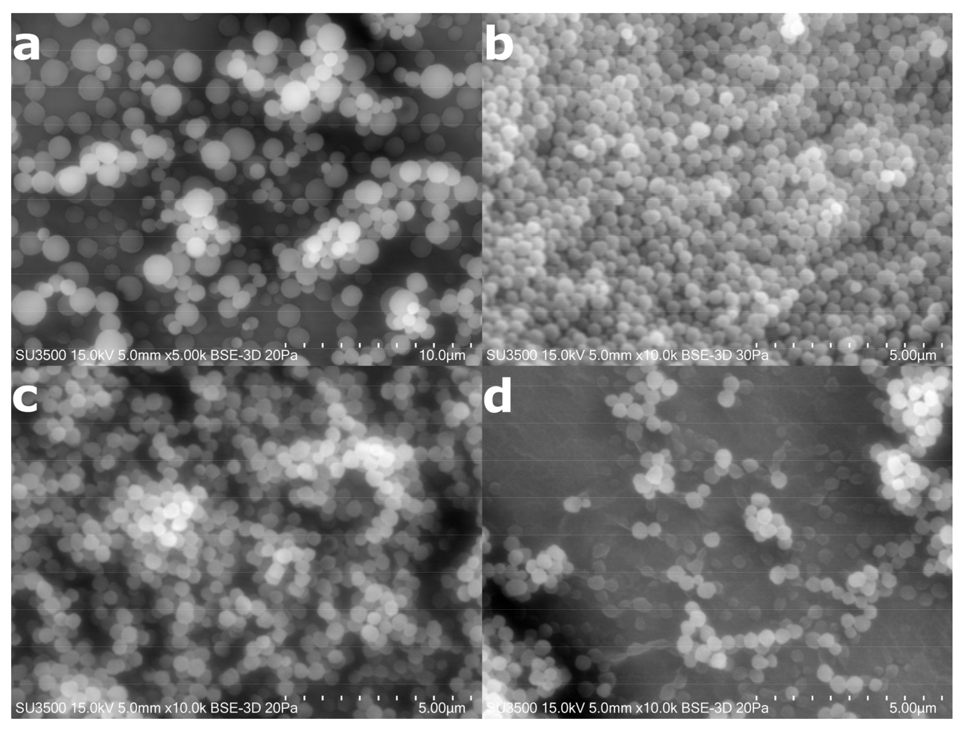 Polymers 14 01027 g001