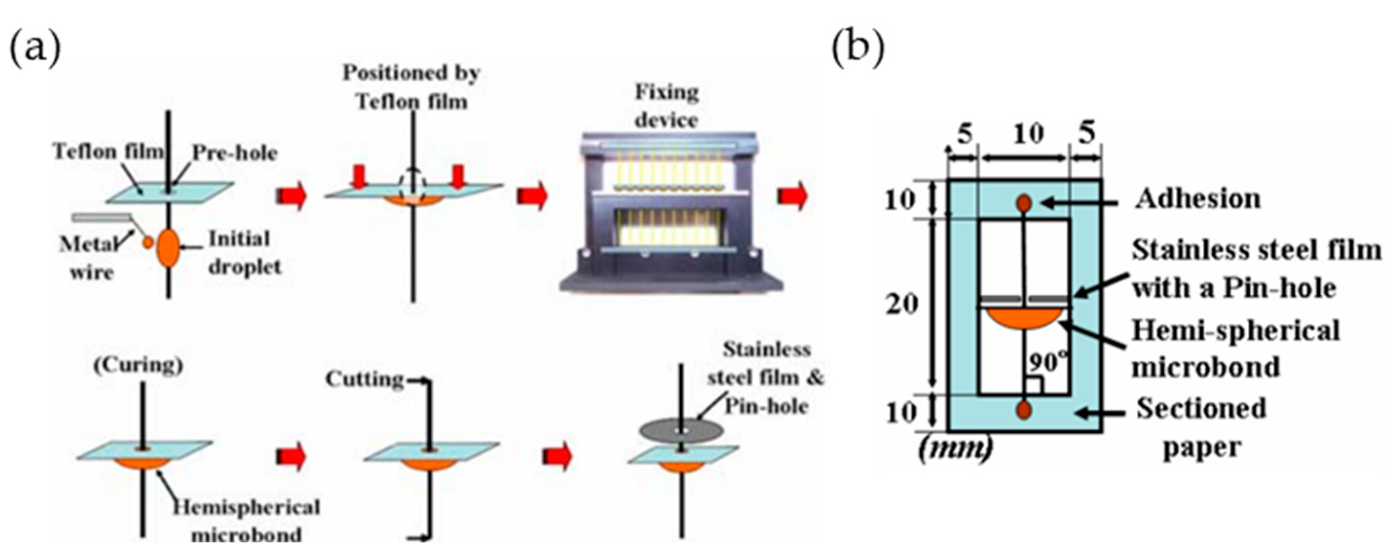 Polymers 14 01028 g001
