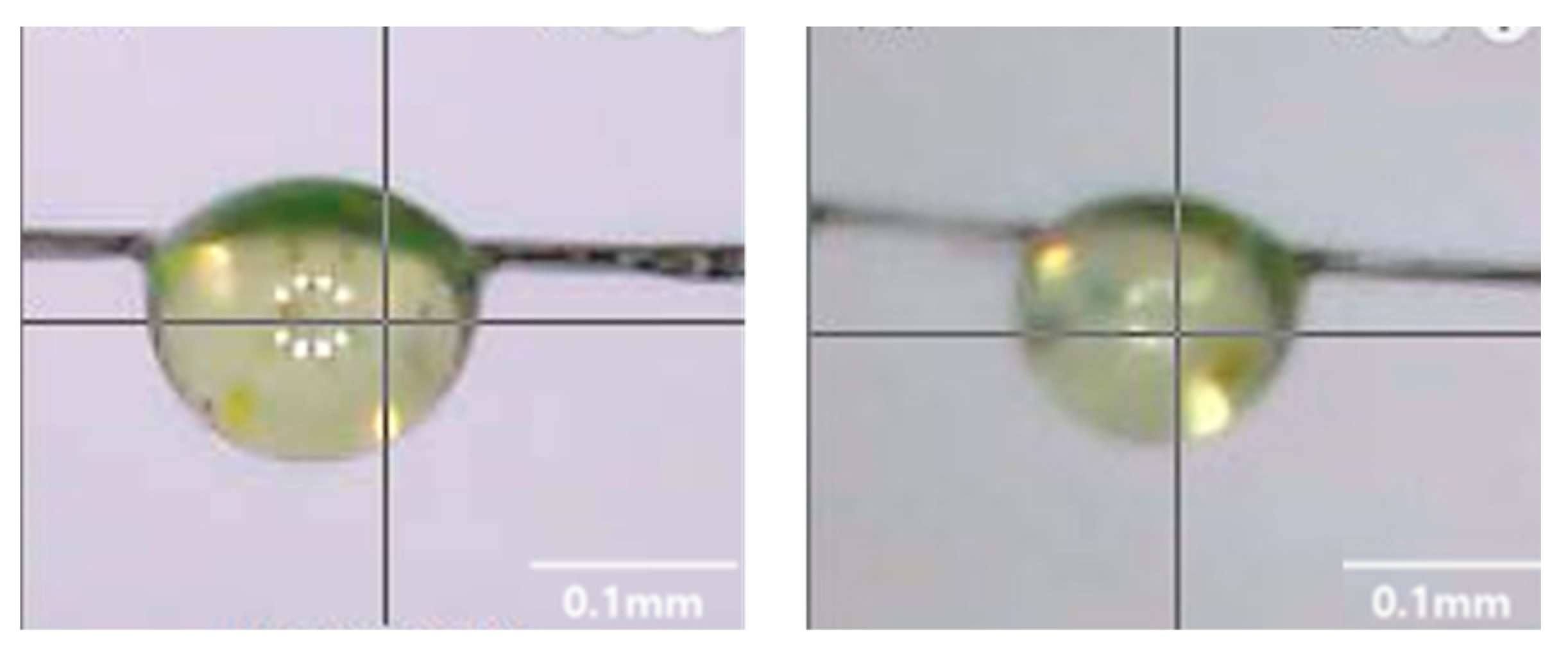 Polymers 14 01028 g004