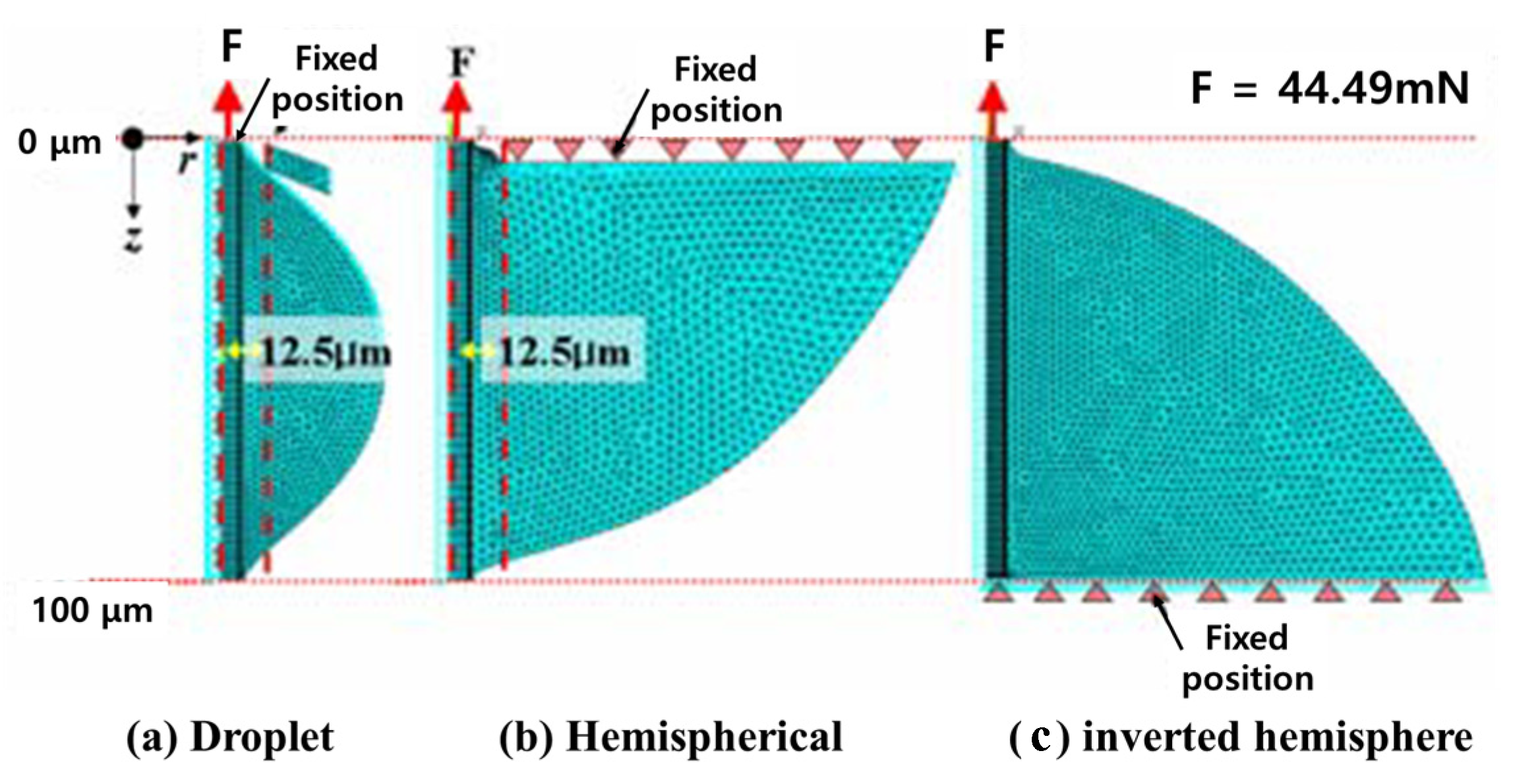 Polymers 14 01028 g006