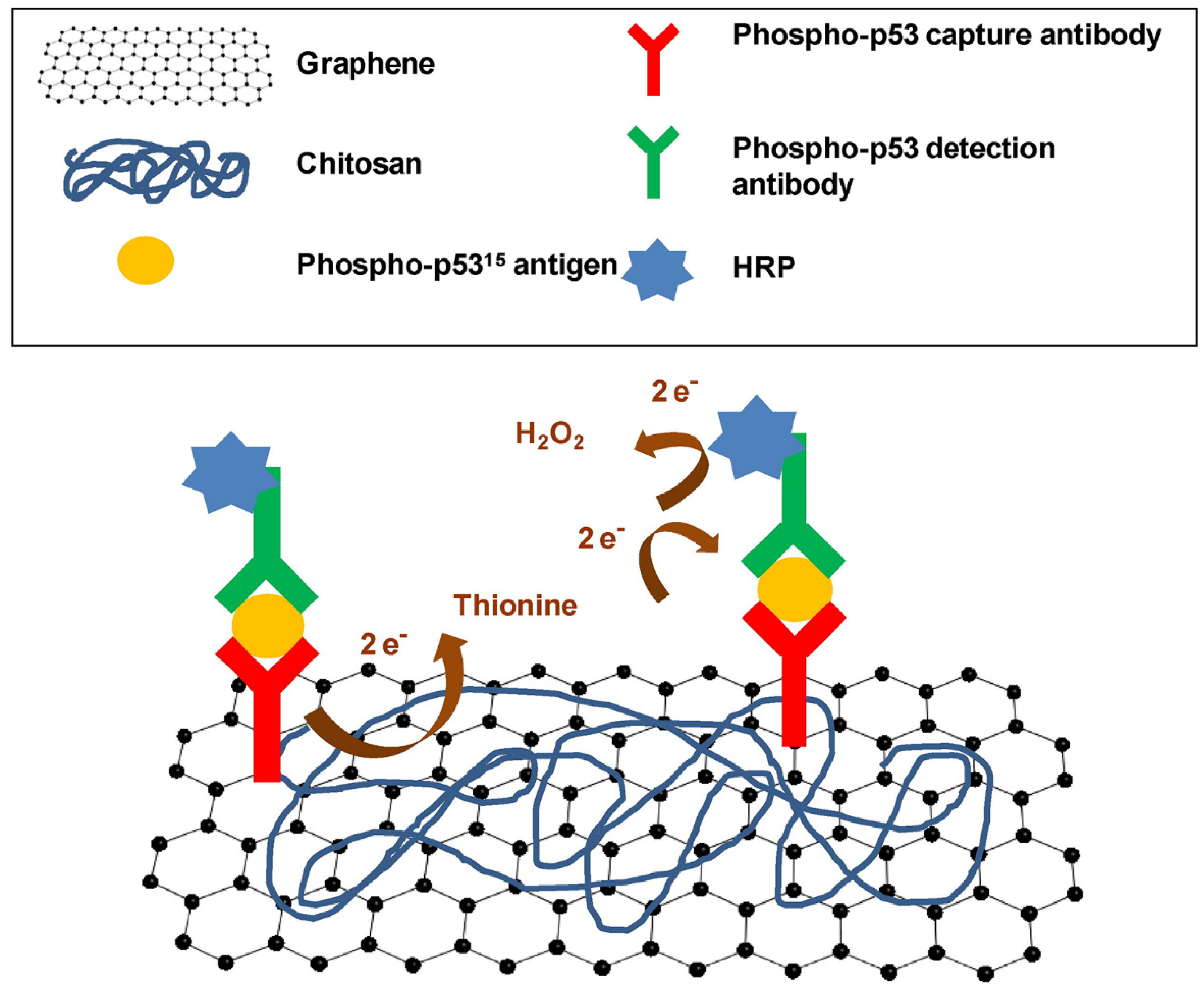 Polymers 14 01030 g011