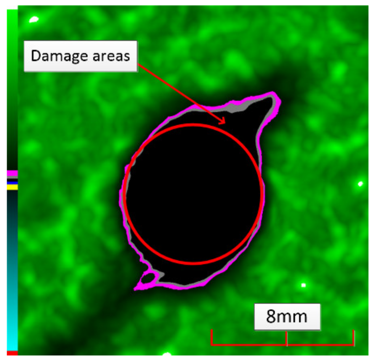 Polymers 14 01034 g004