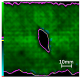 Polymers 14 01034 i005