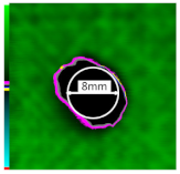 Polymers 14 01034 i010