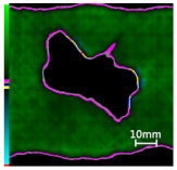 Polymers 14 01034 i012