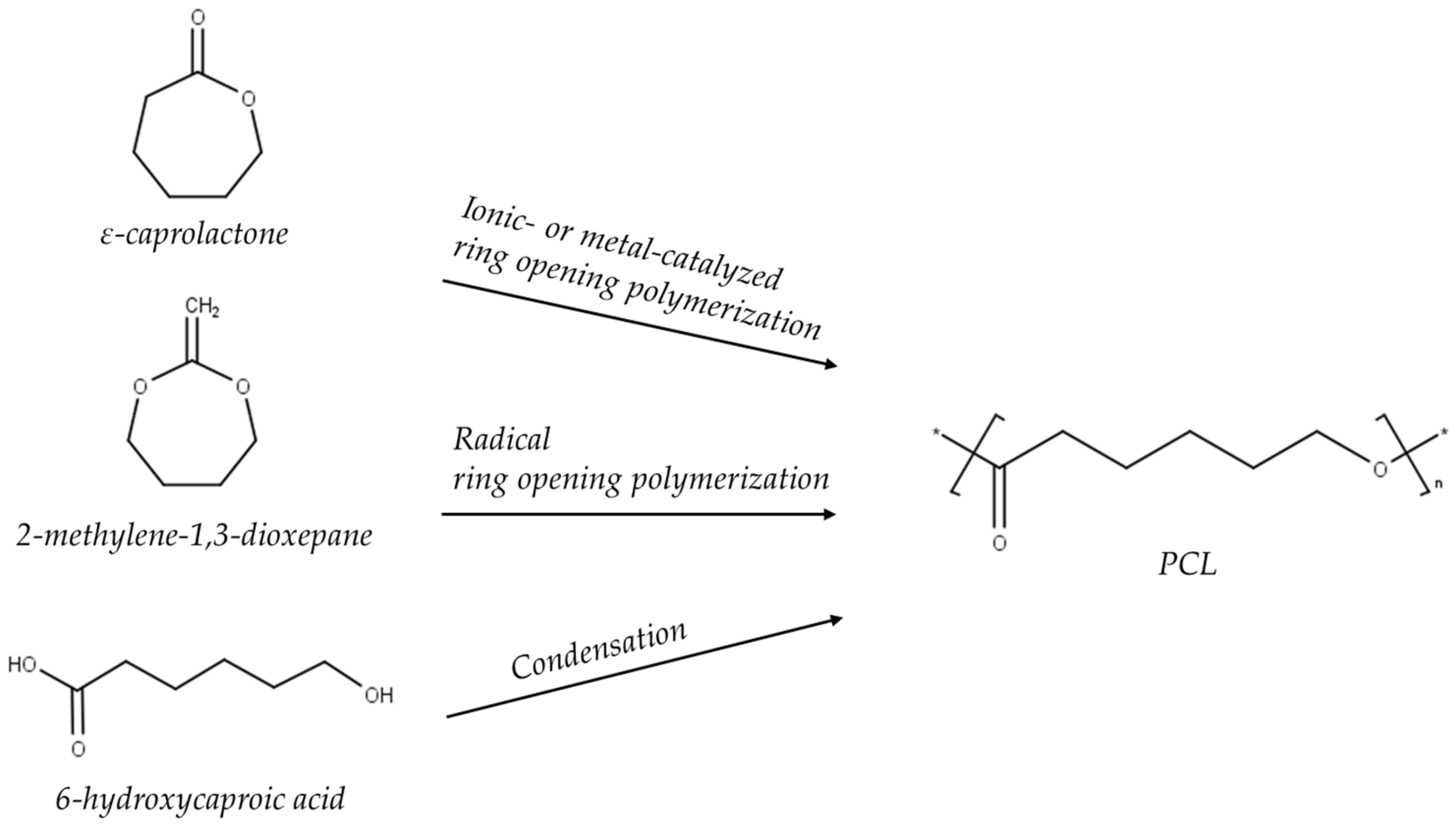 Polymers 14 01038 g001