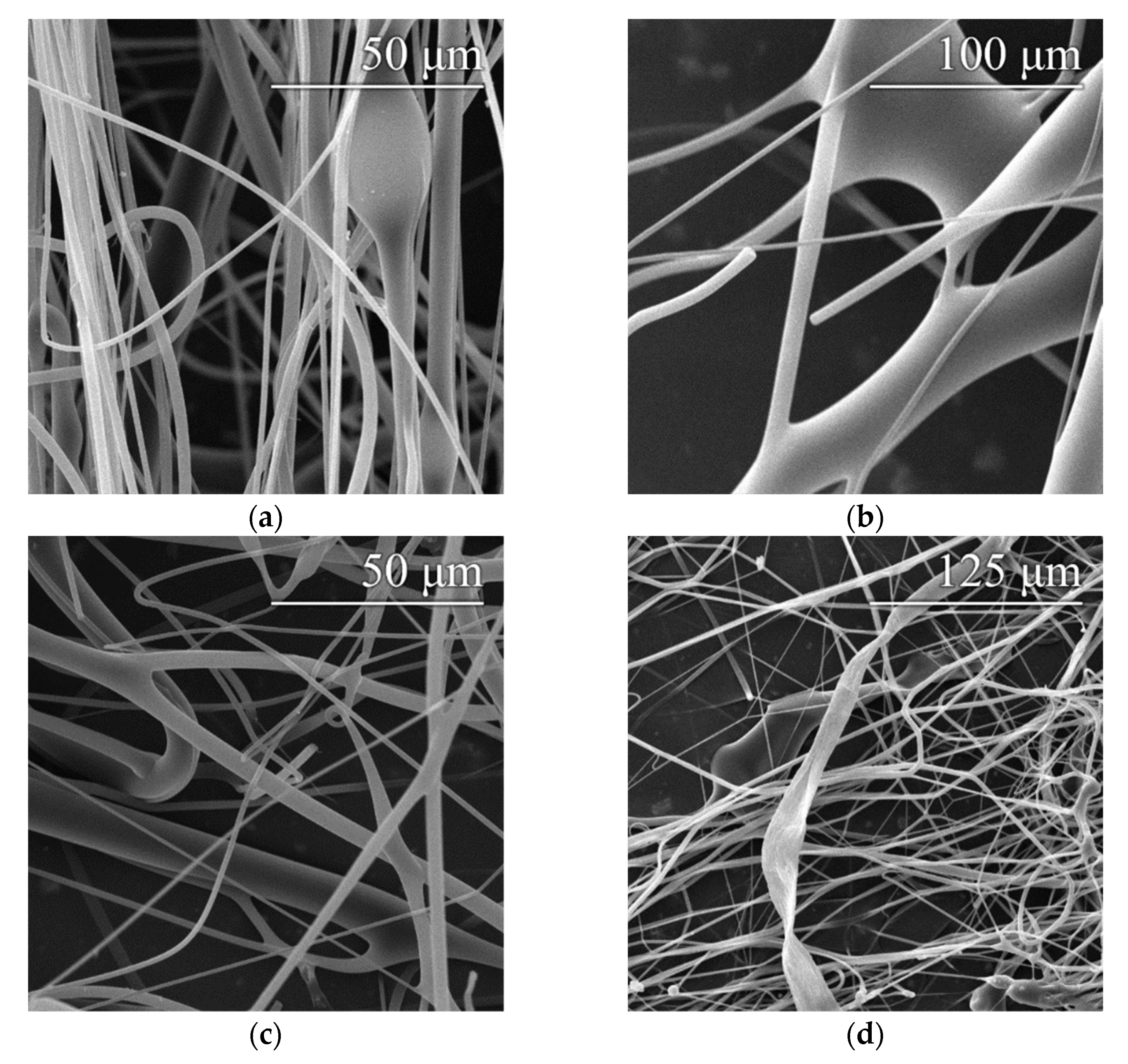 Polymers 14 01042 g003