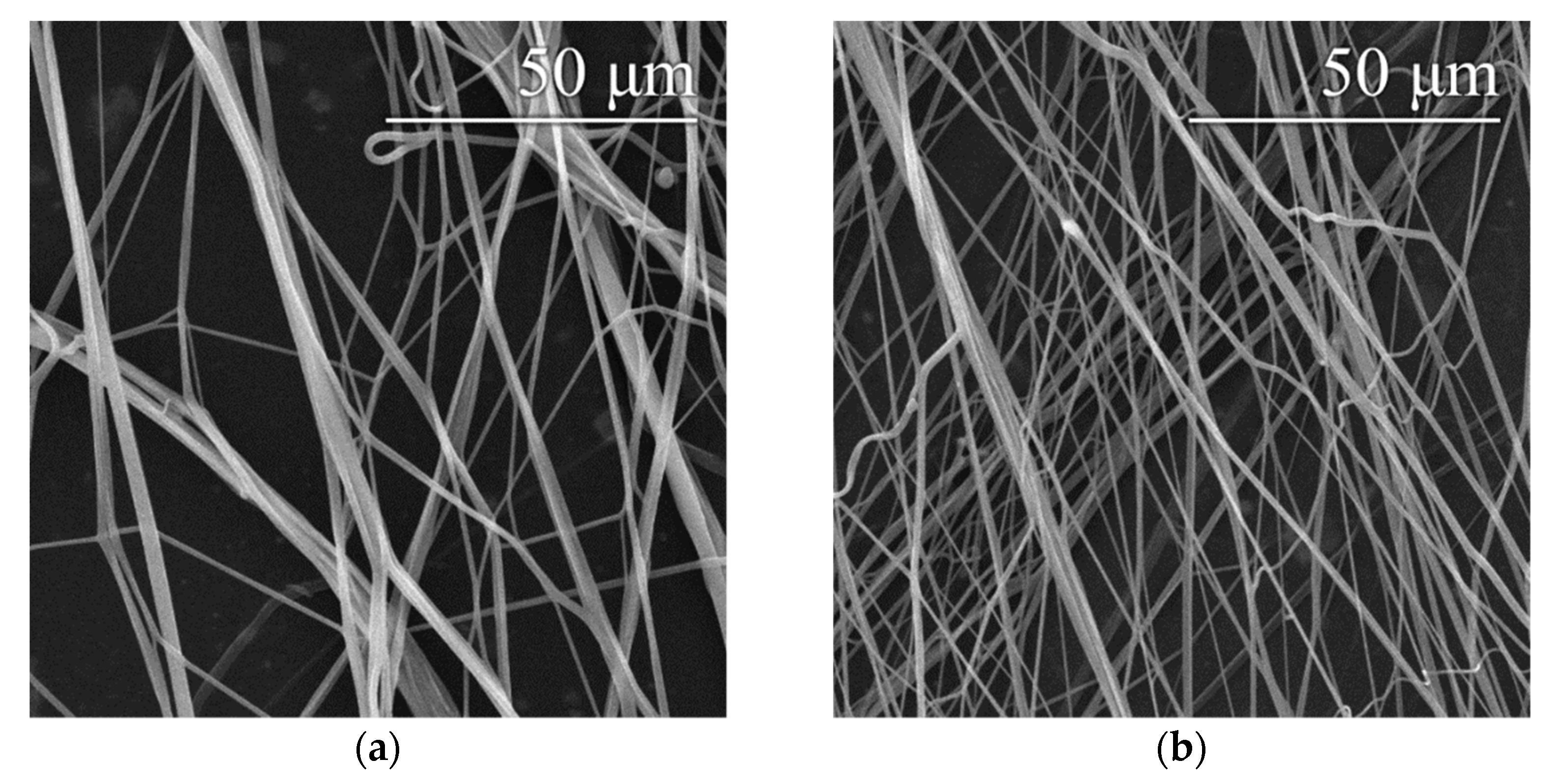 Polymers 14 01042 g006a