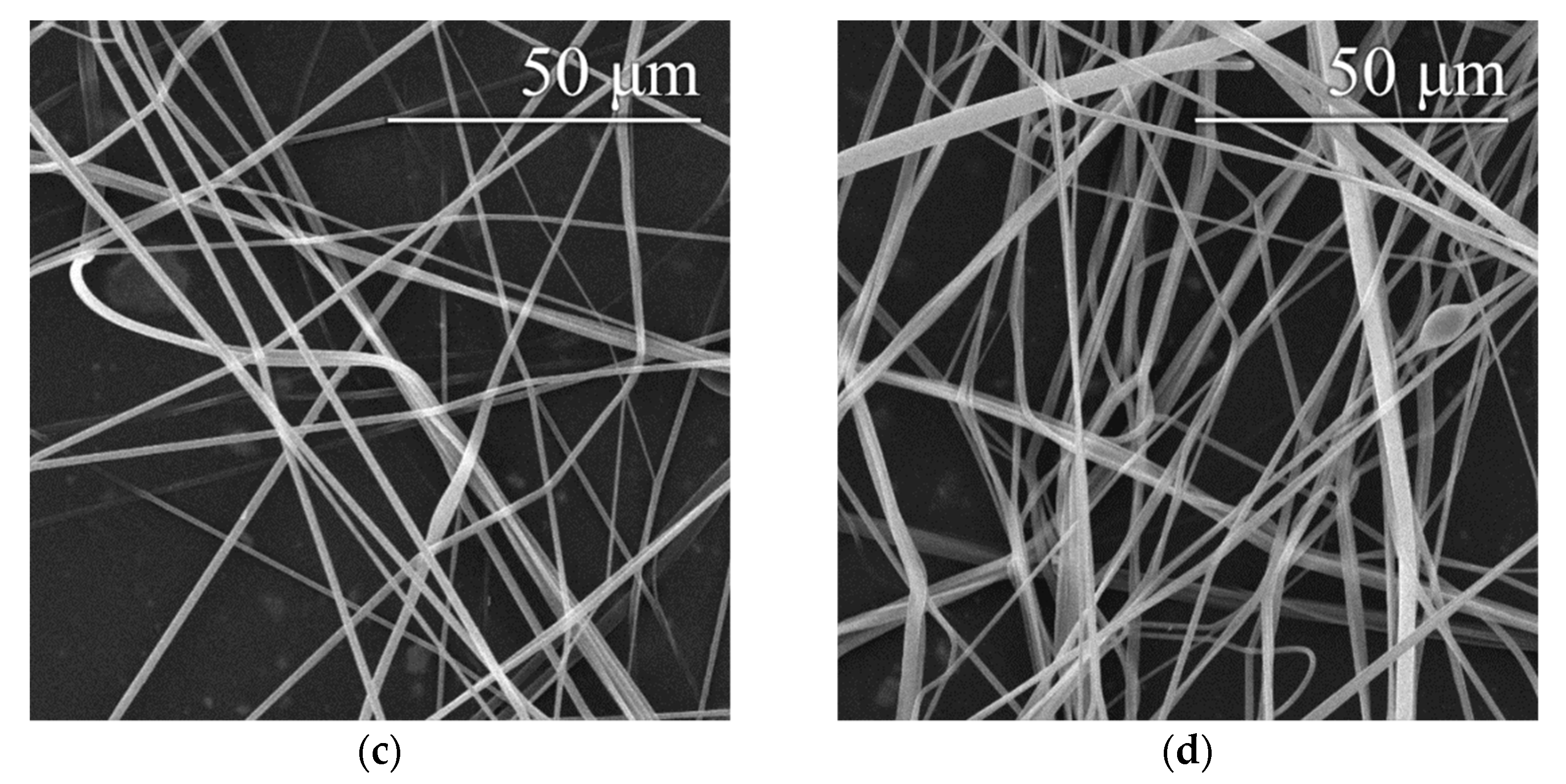 Polymers 14 01042 g006b