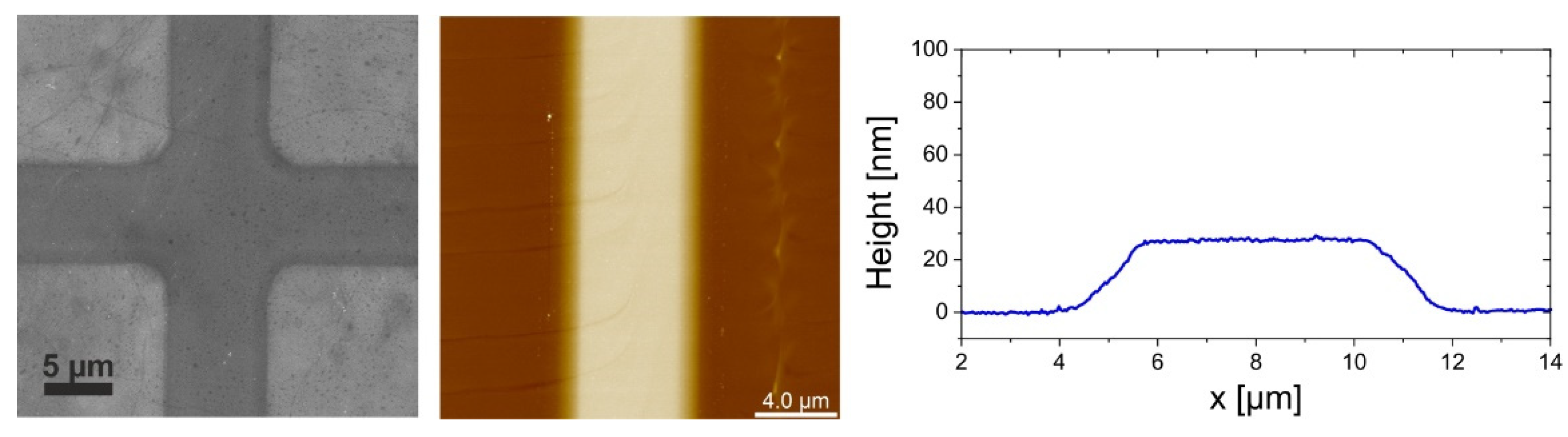 Polymers 14 01046 g003