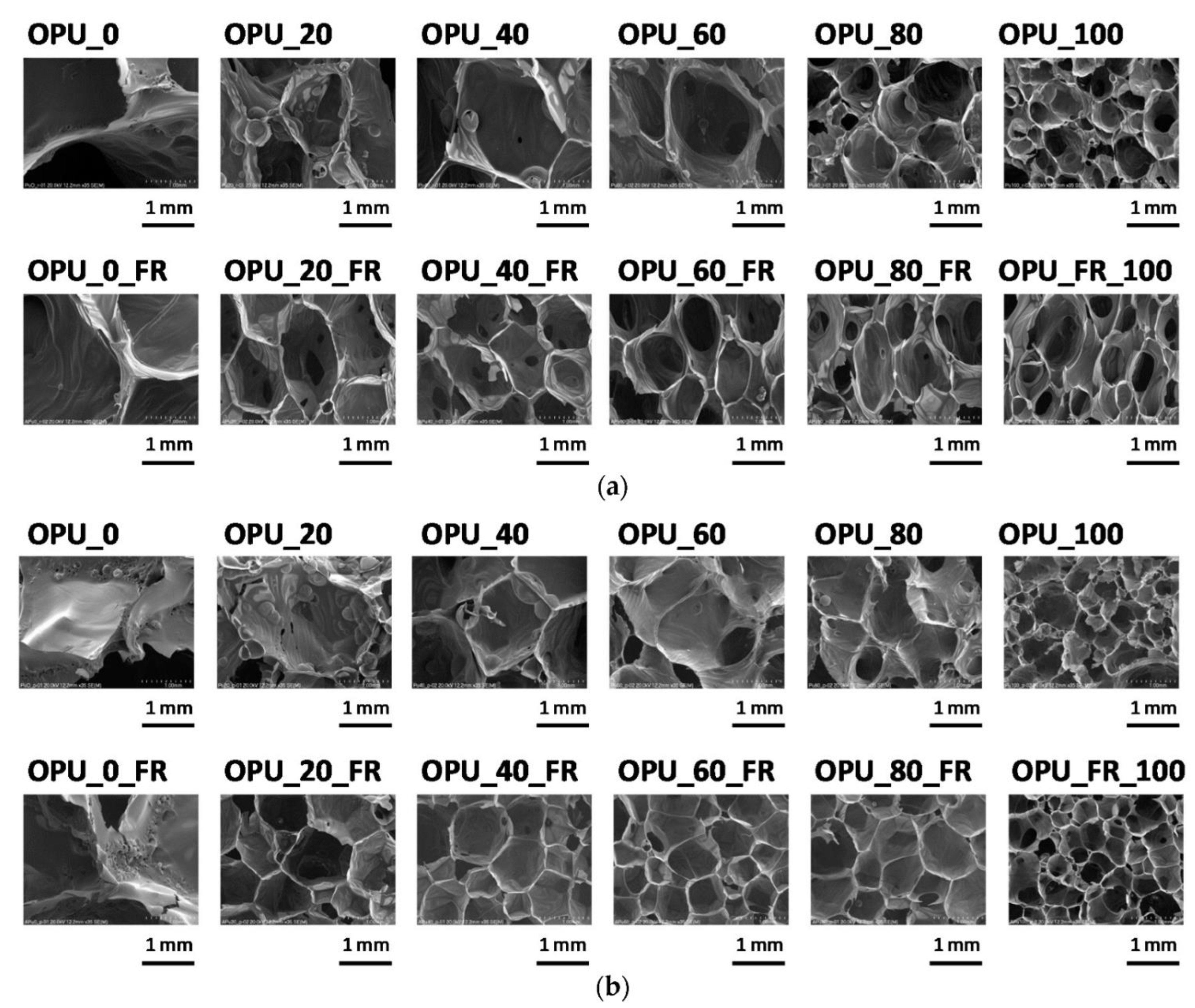 Polymers 14 01050 g003