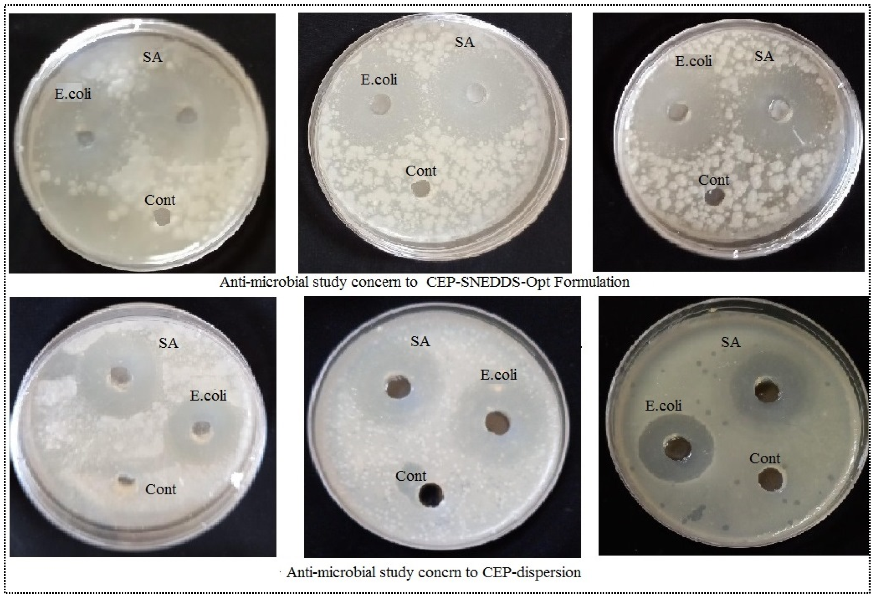 Polymers 14 01055 g007