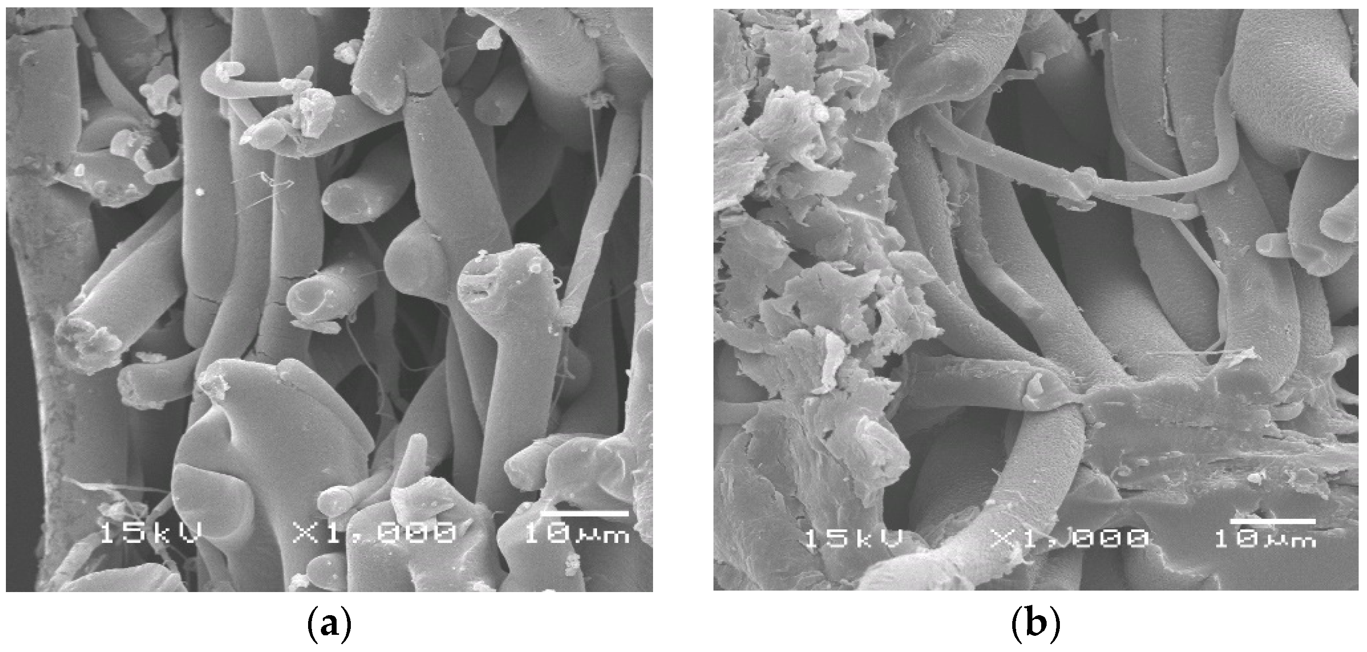 Polymers 14 01058 g002a