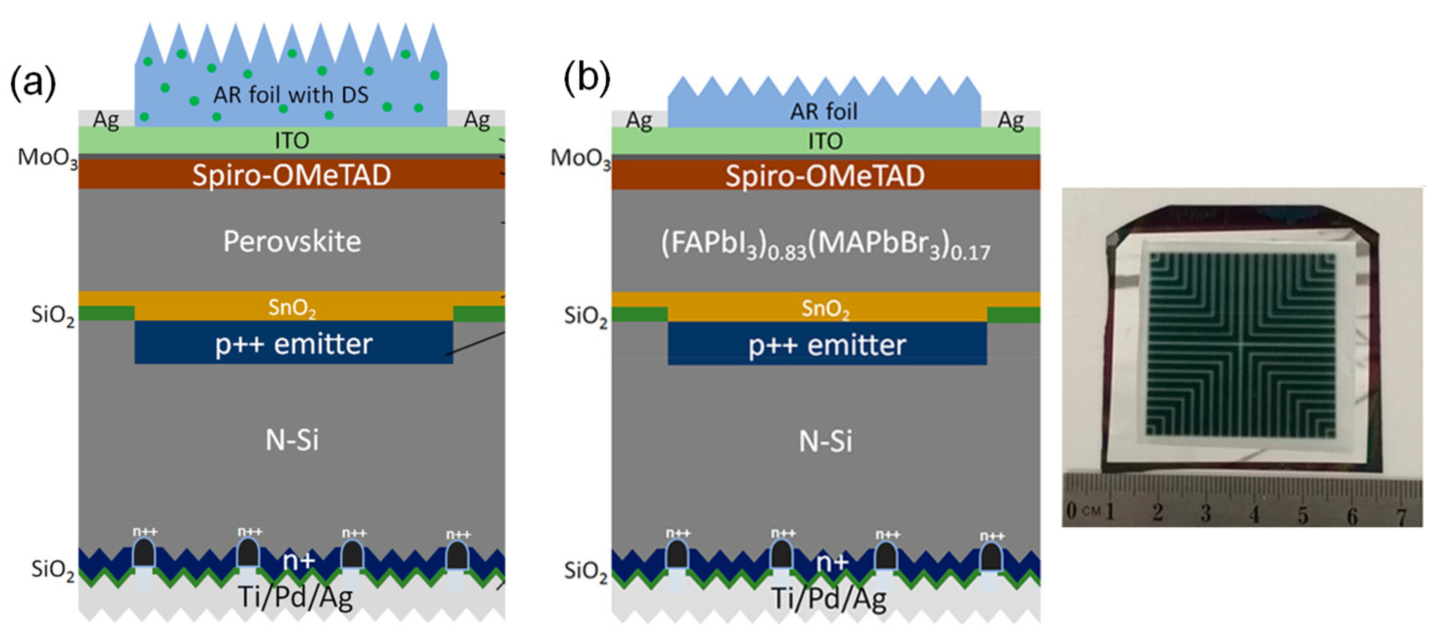 Polymers 14 01059 g008