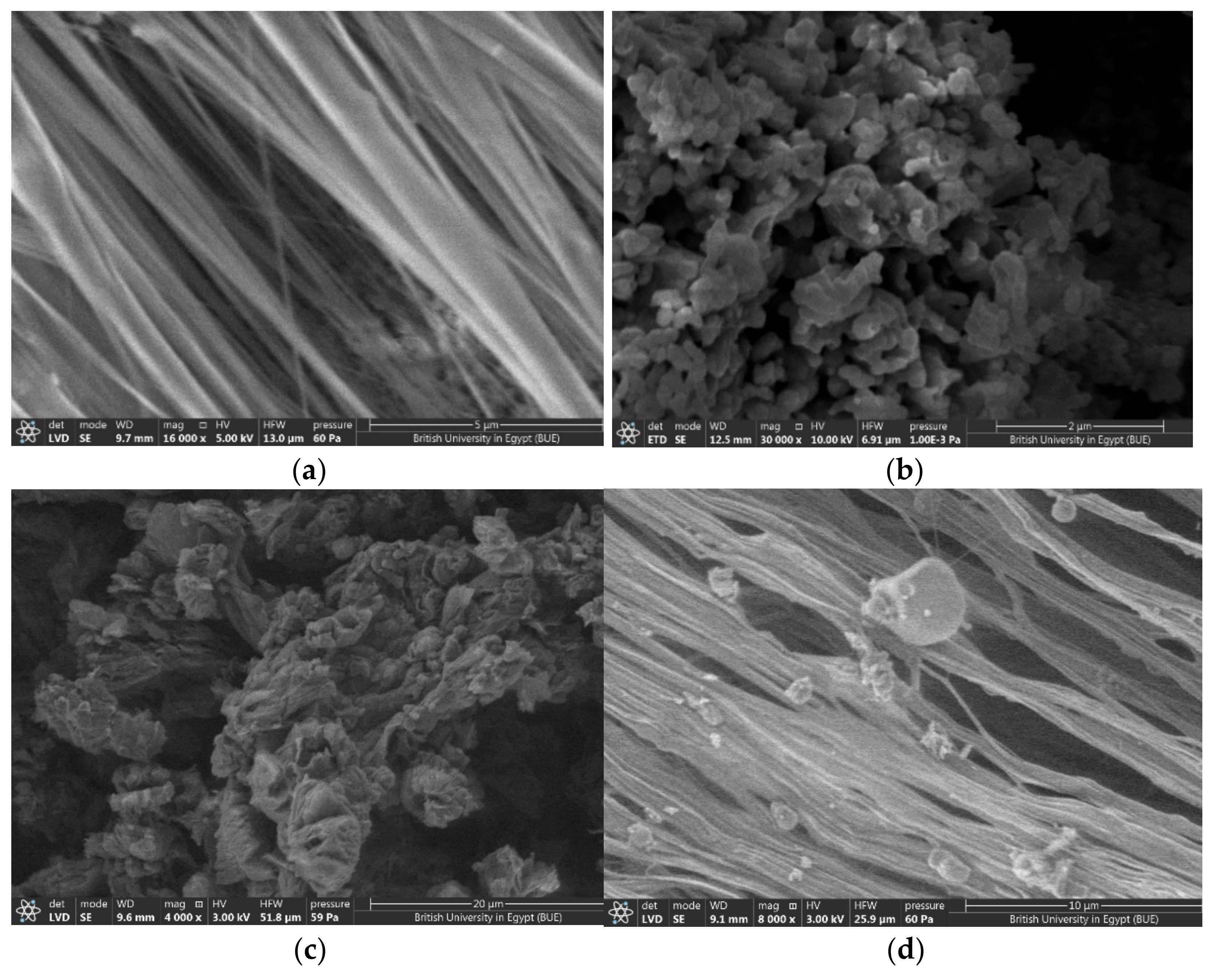 Polymers 14 01069 g003
