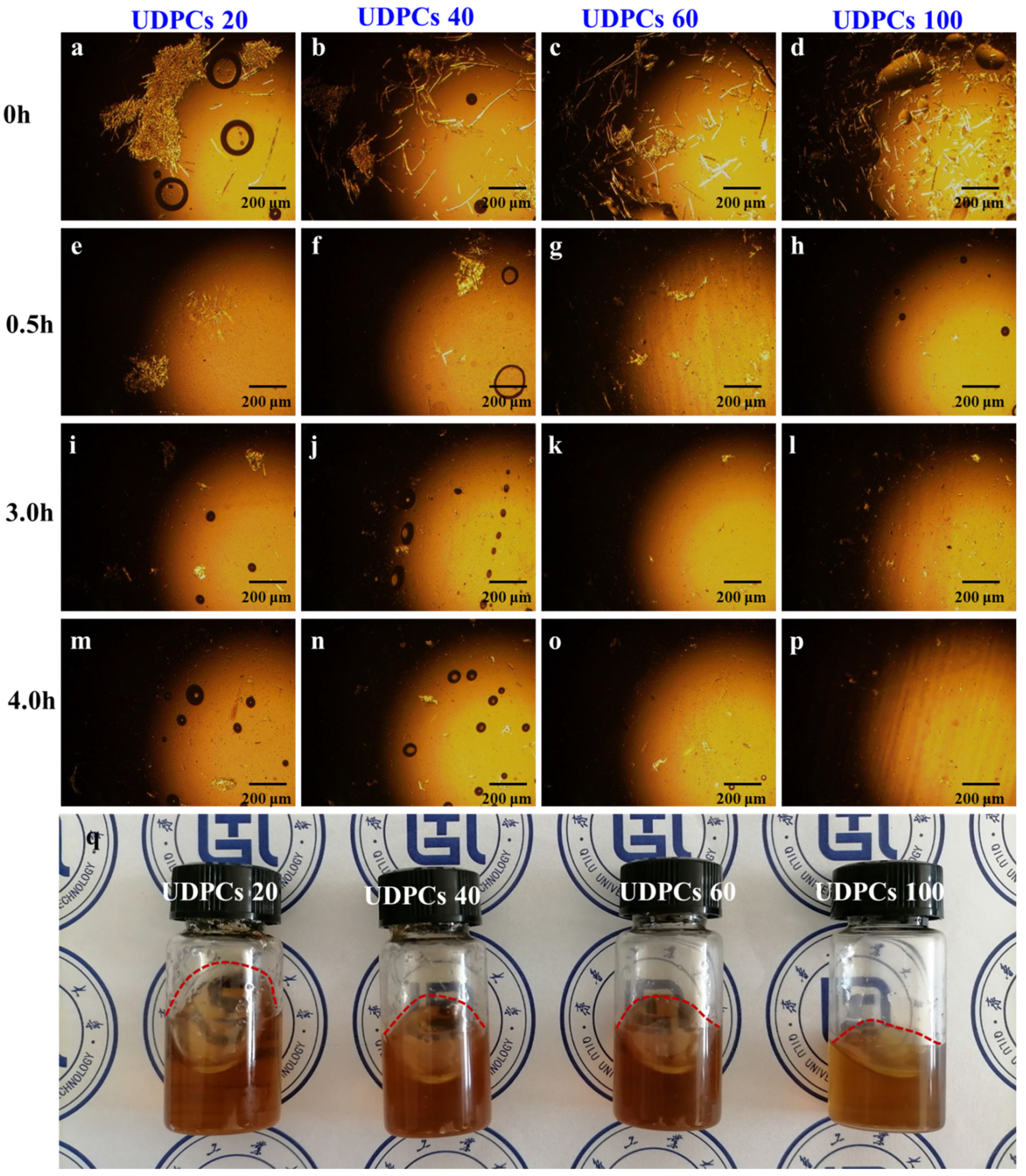 Polymers 14 01070 g002