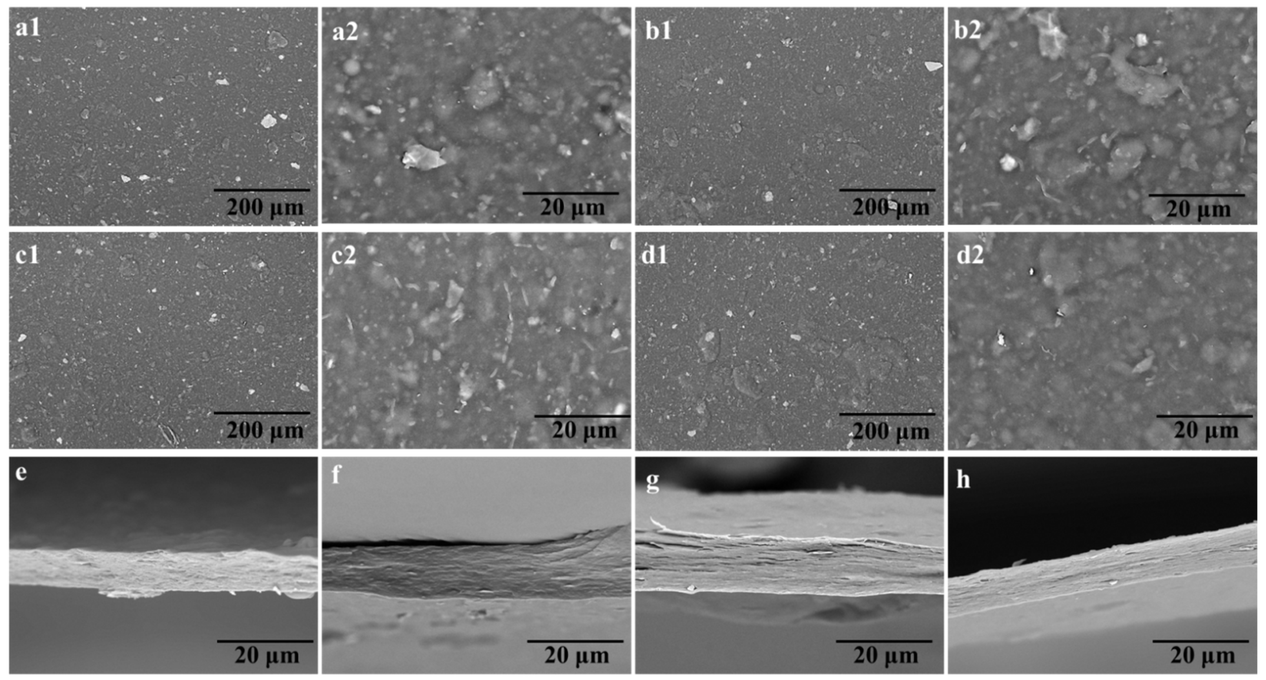 Polymers 14 01070 g006