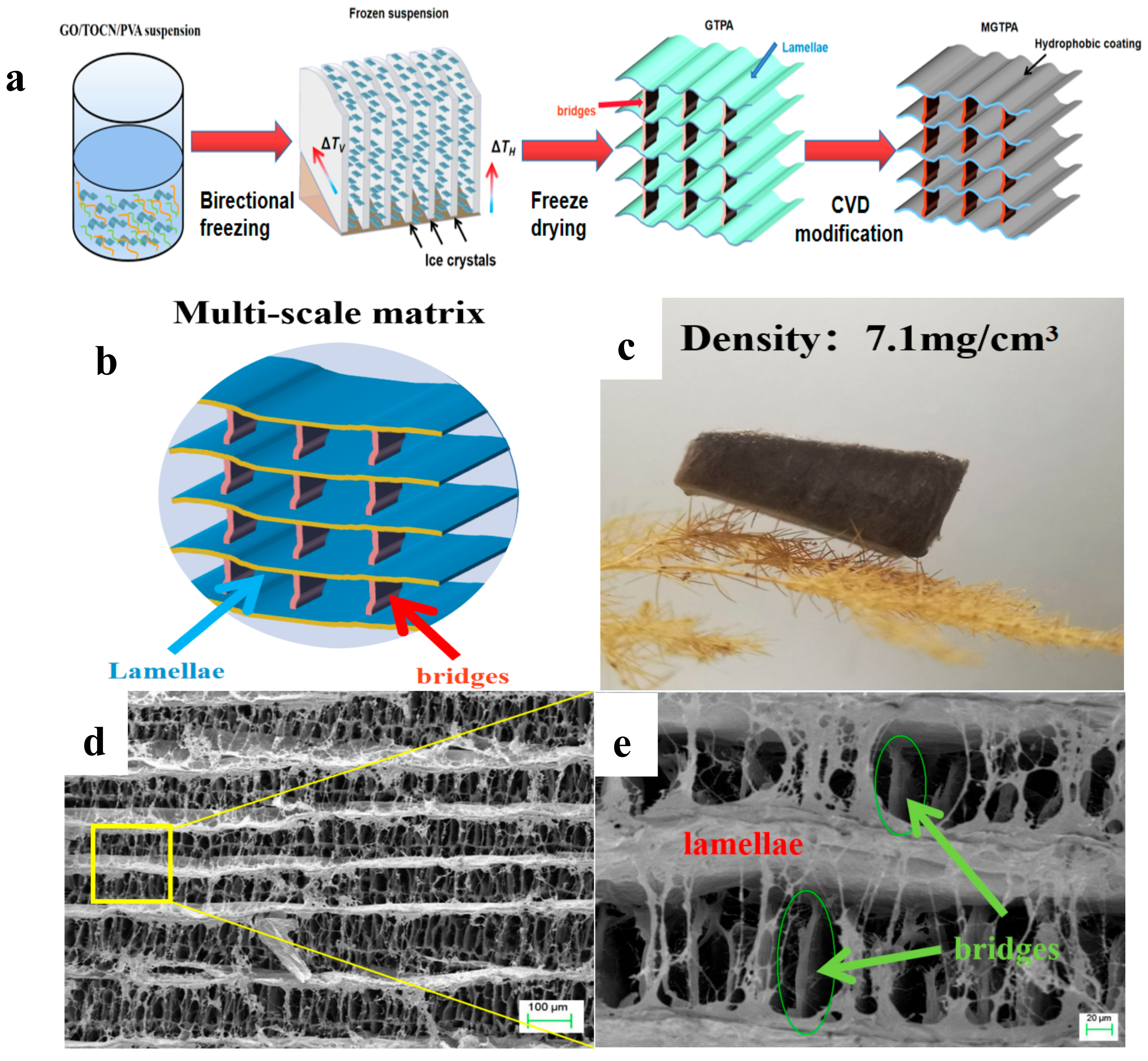 Polymers 14 01077 g001