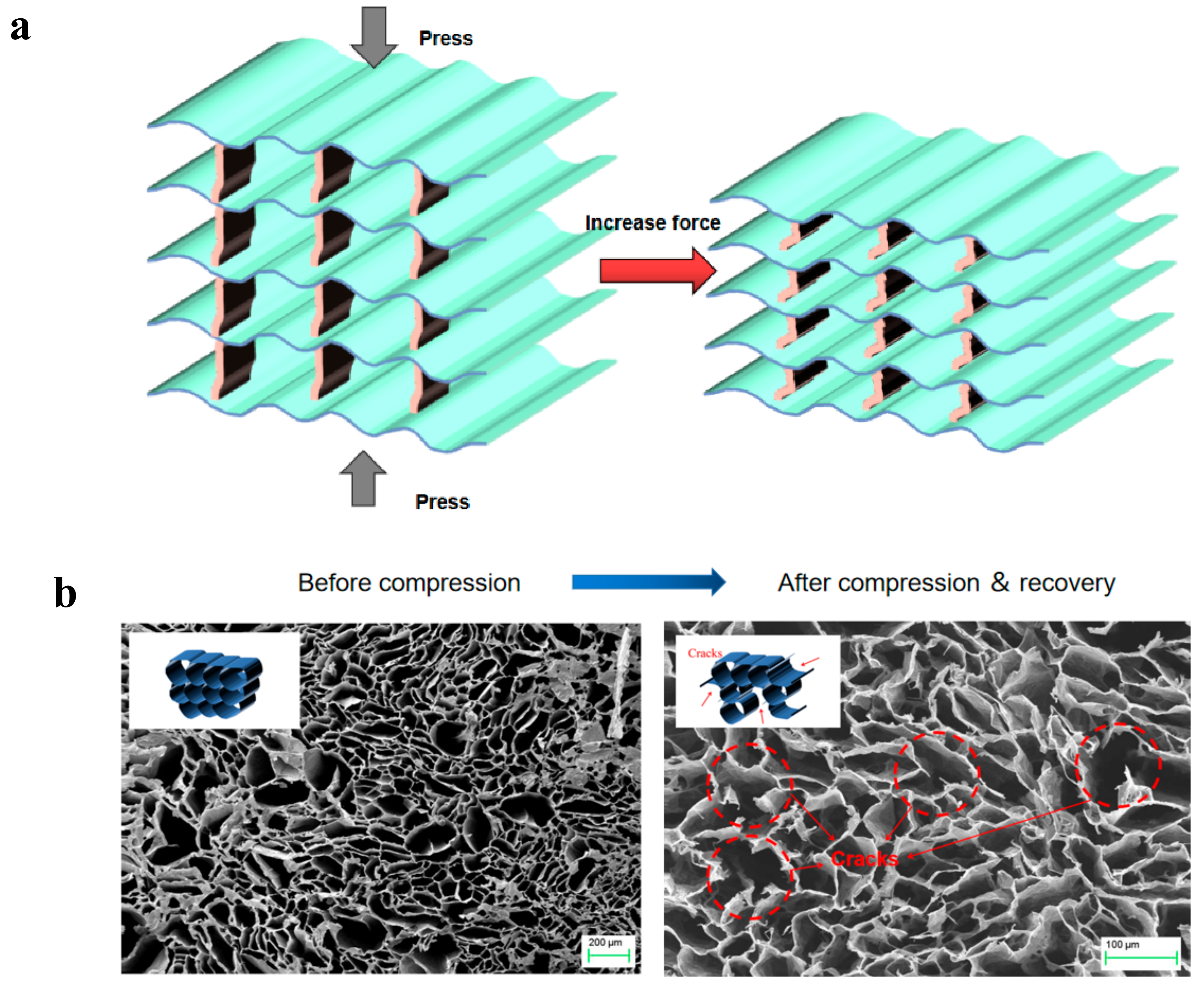 Polymers 14 01077 g006