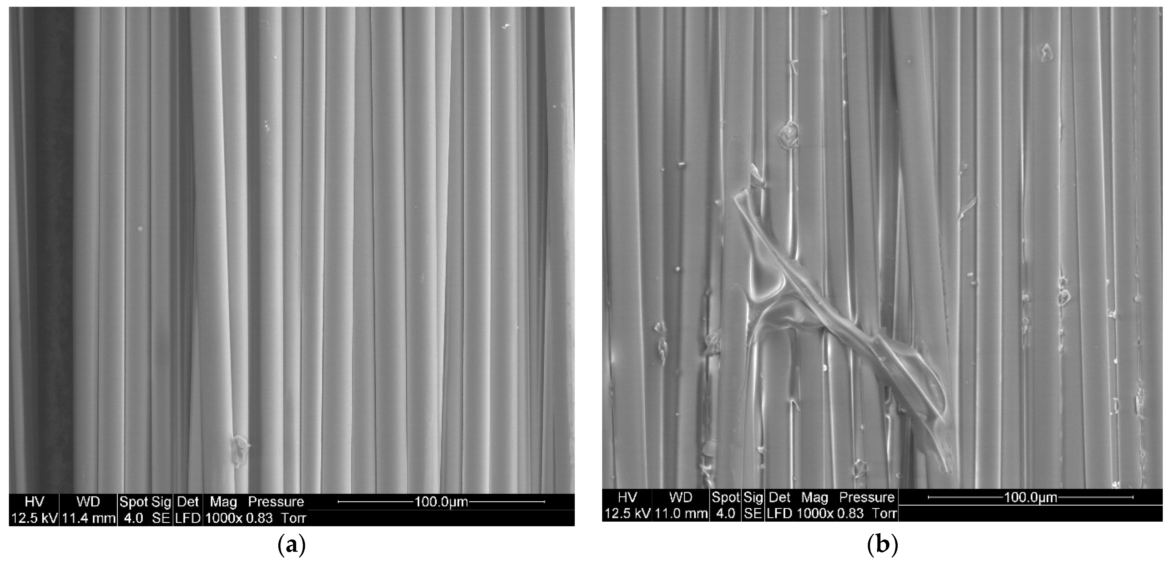 Polymers 14 01083 g009
