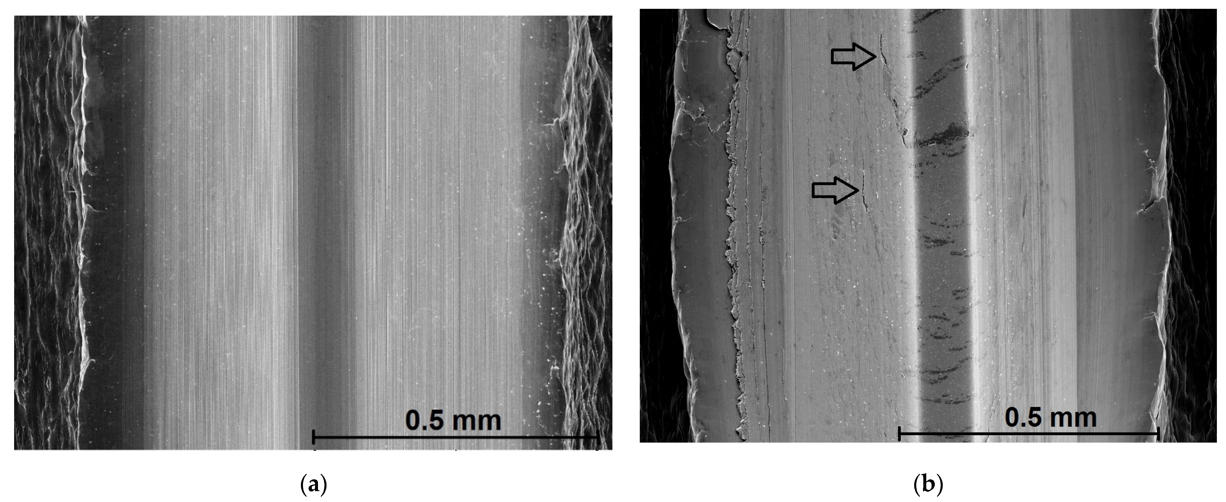 Polymers 14 01084 g012