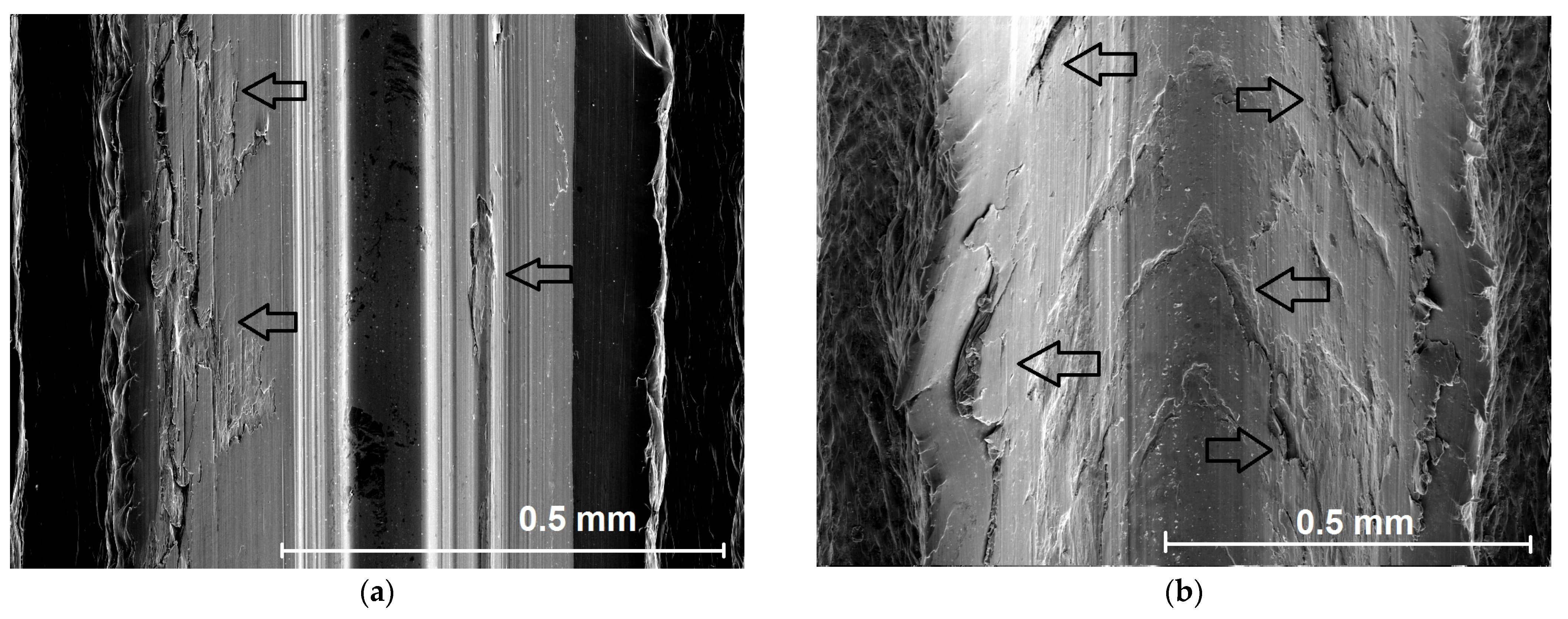 Polymers 14 01084 g013