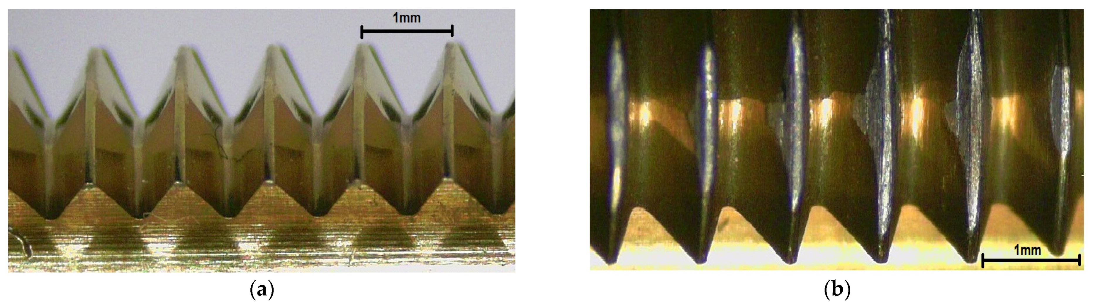 Polymers 14 01084 g014