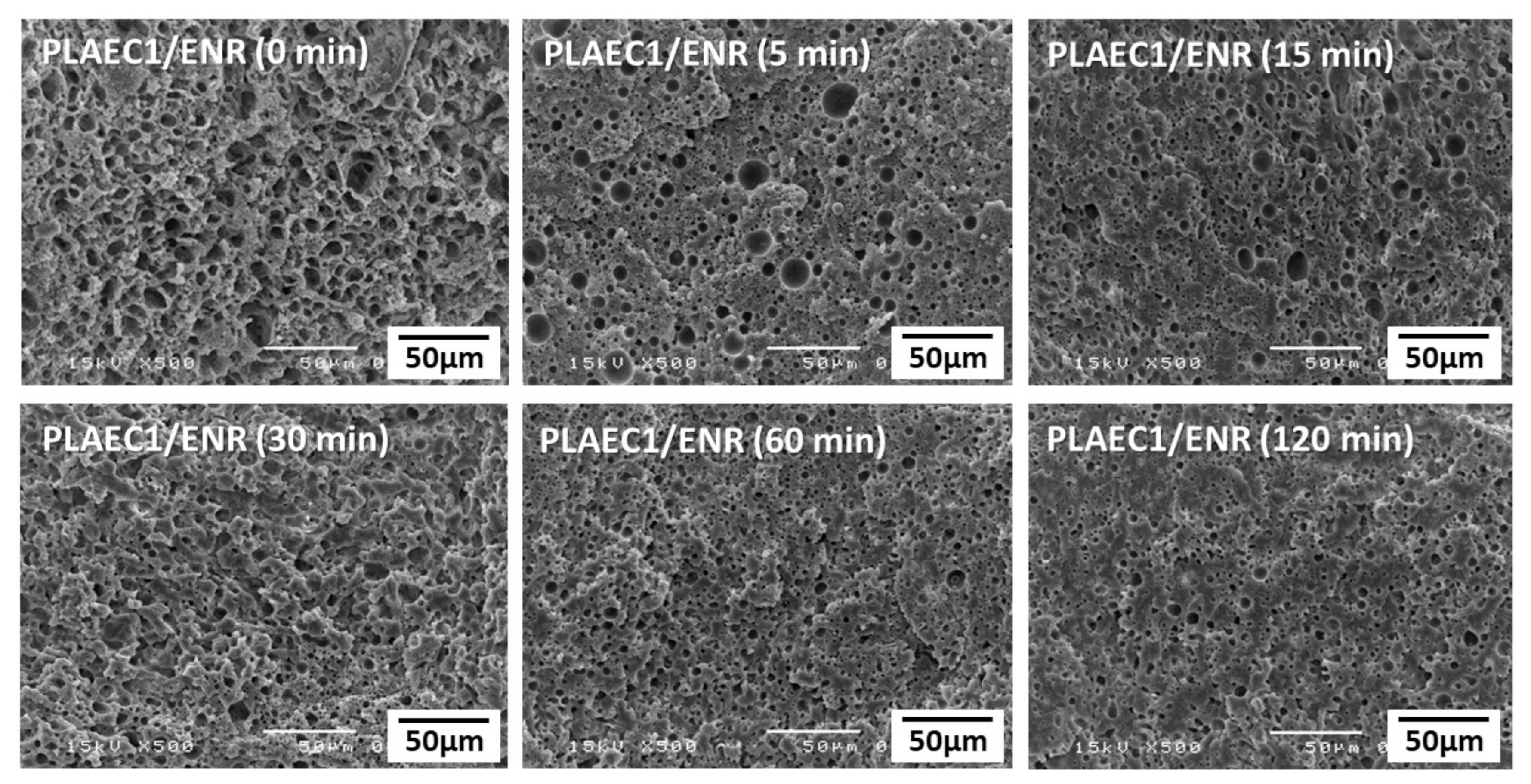 Polymers 14 01085 g006