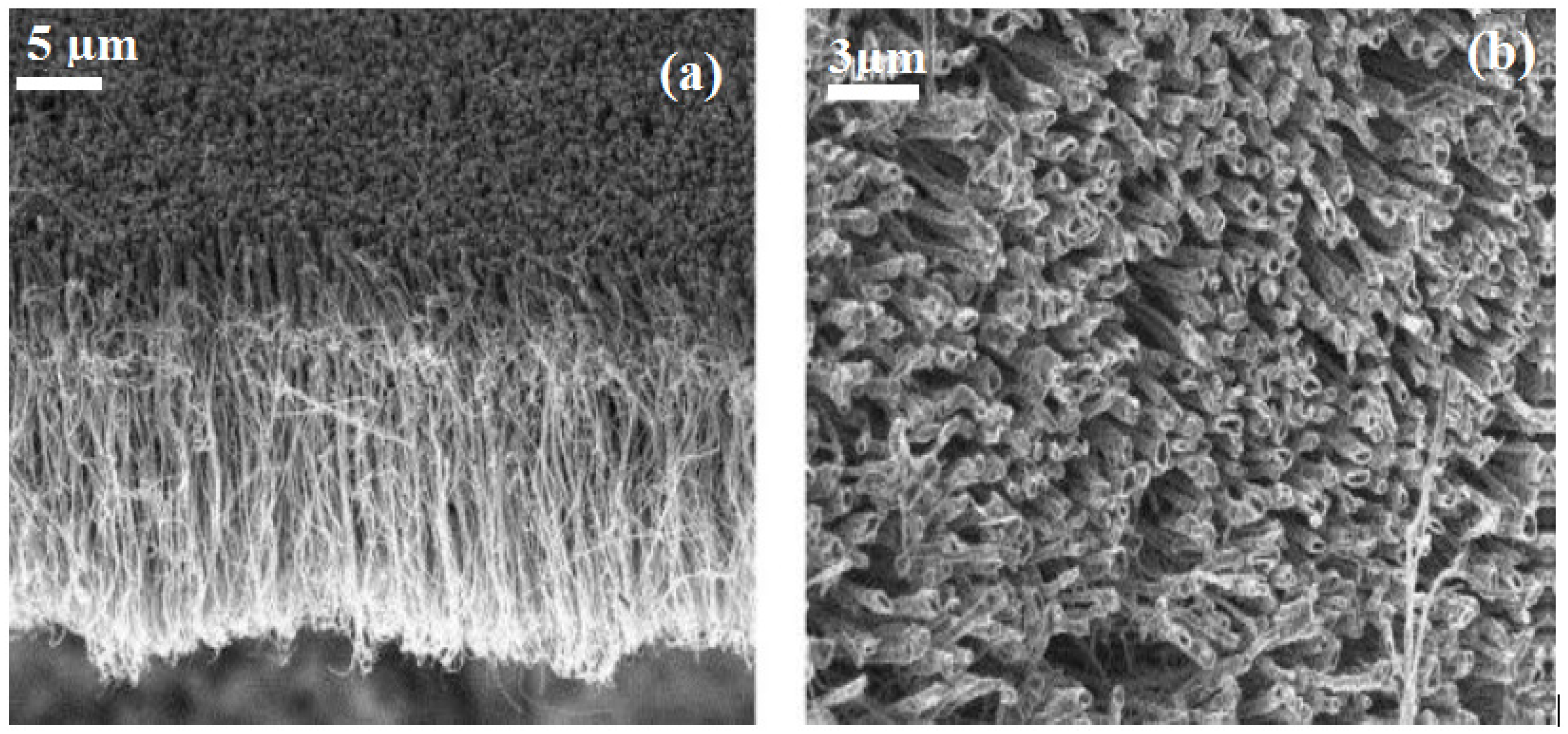Polymers 14 01093 g002 Polymers 14 01093 g002