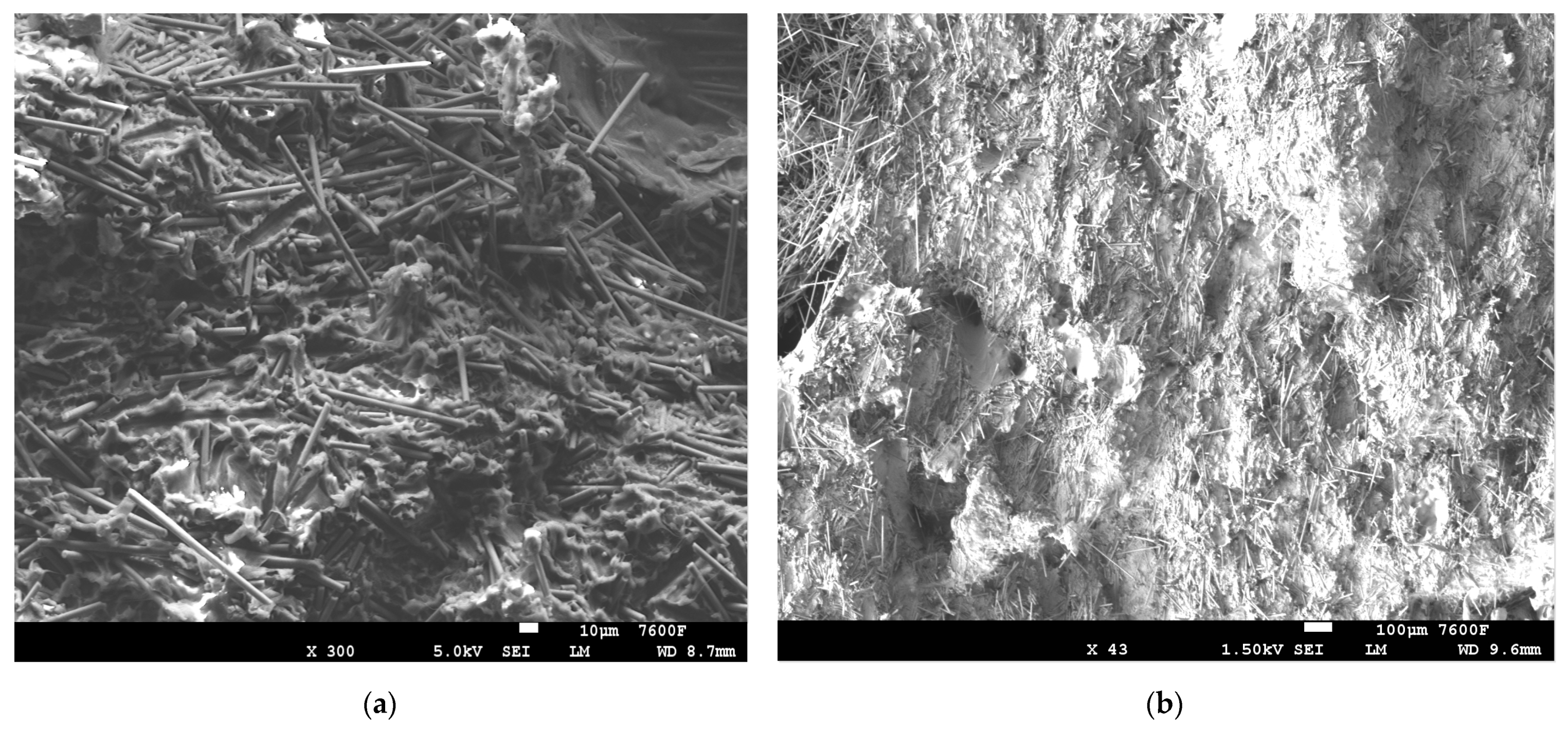 Polymers 14 01095 g004