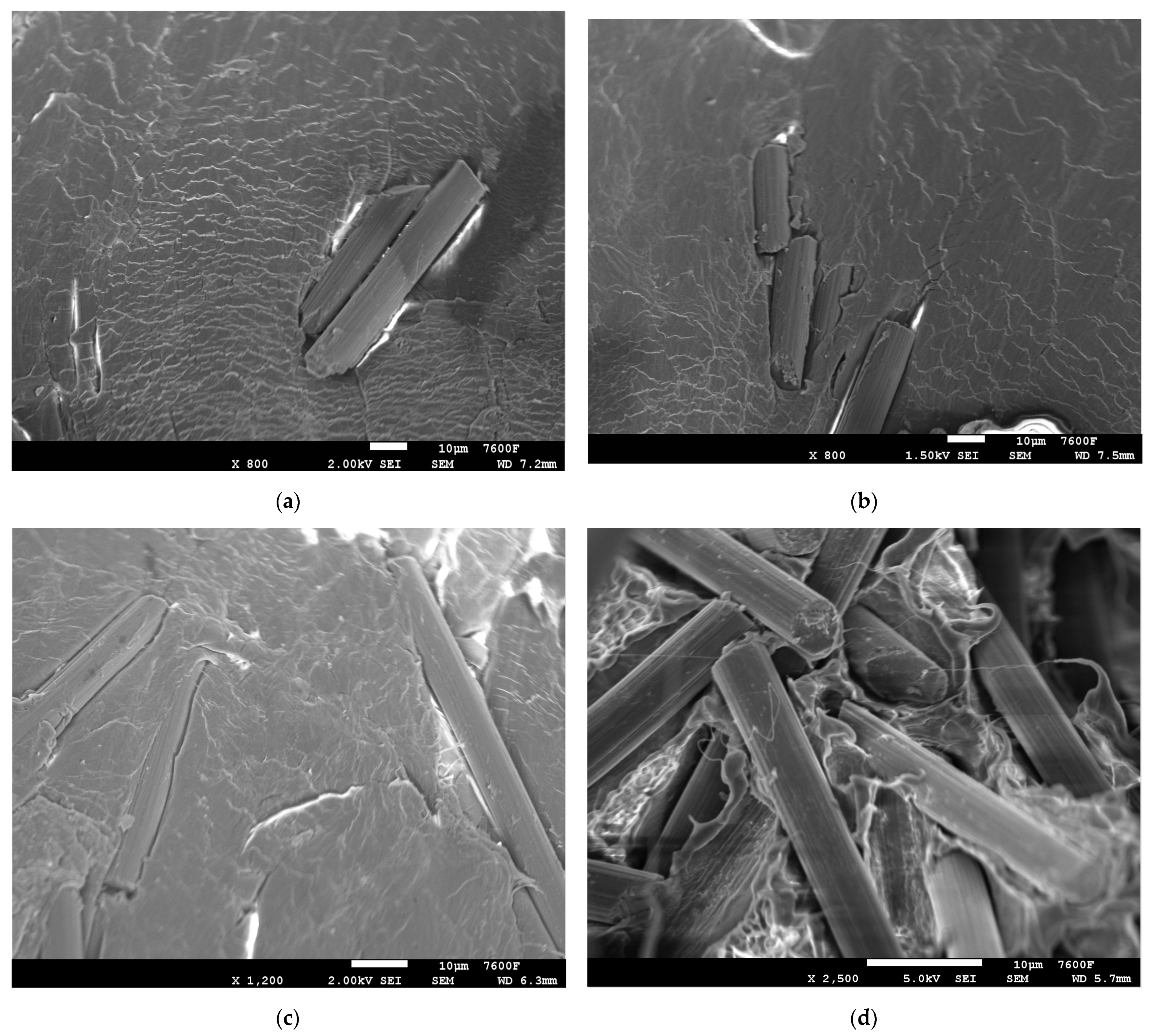 Polymers 14 01095 g006