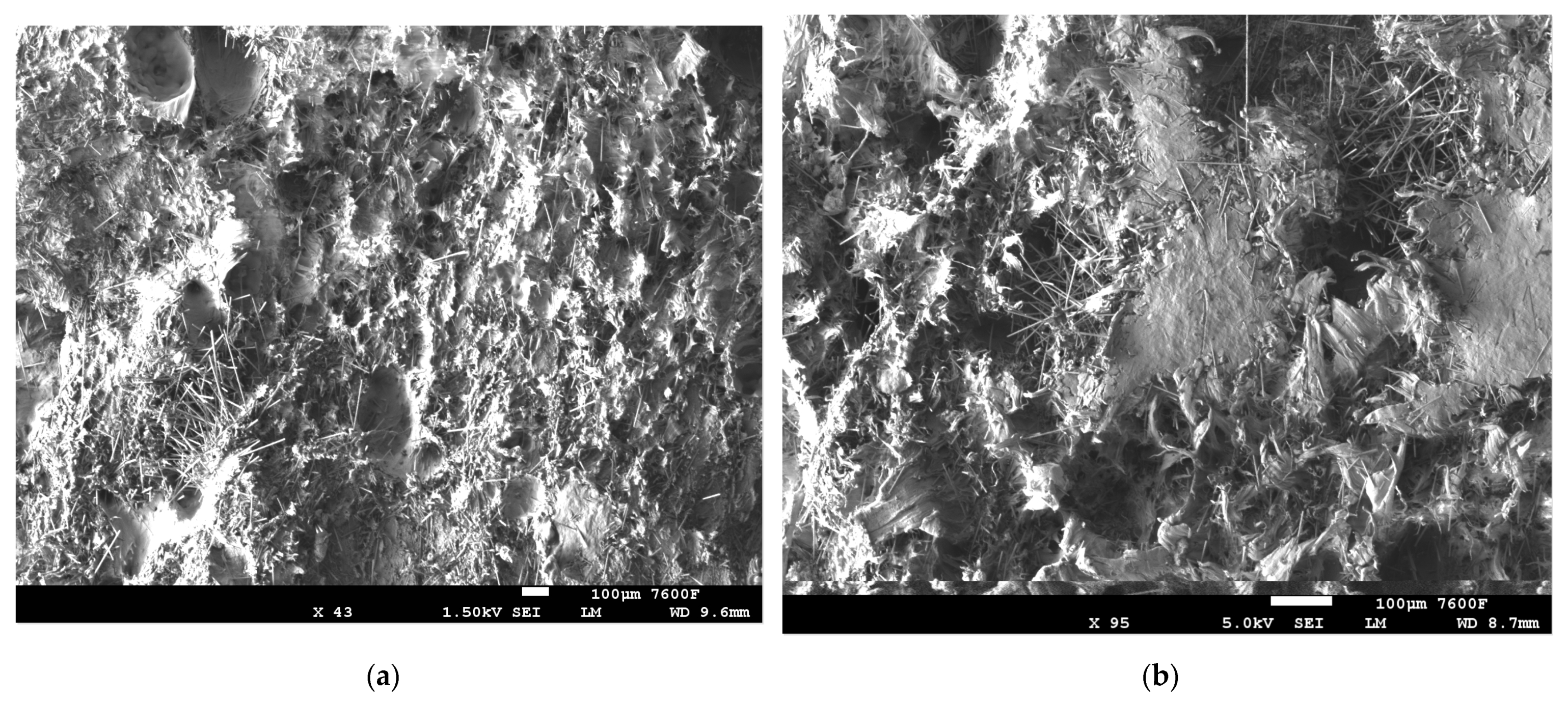Polymers 14 01095 g007