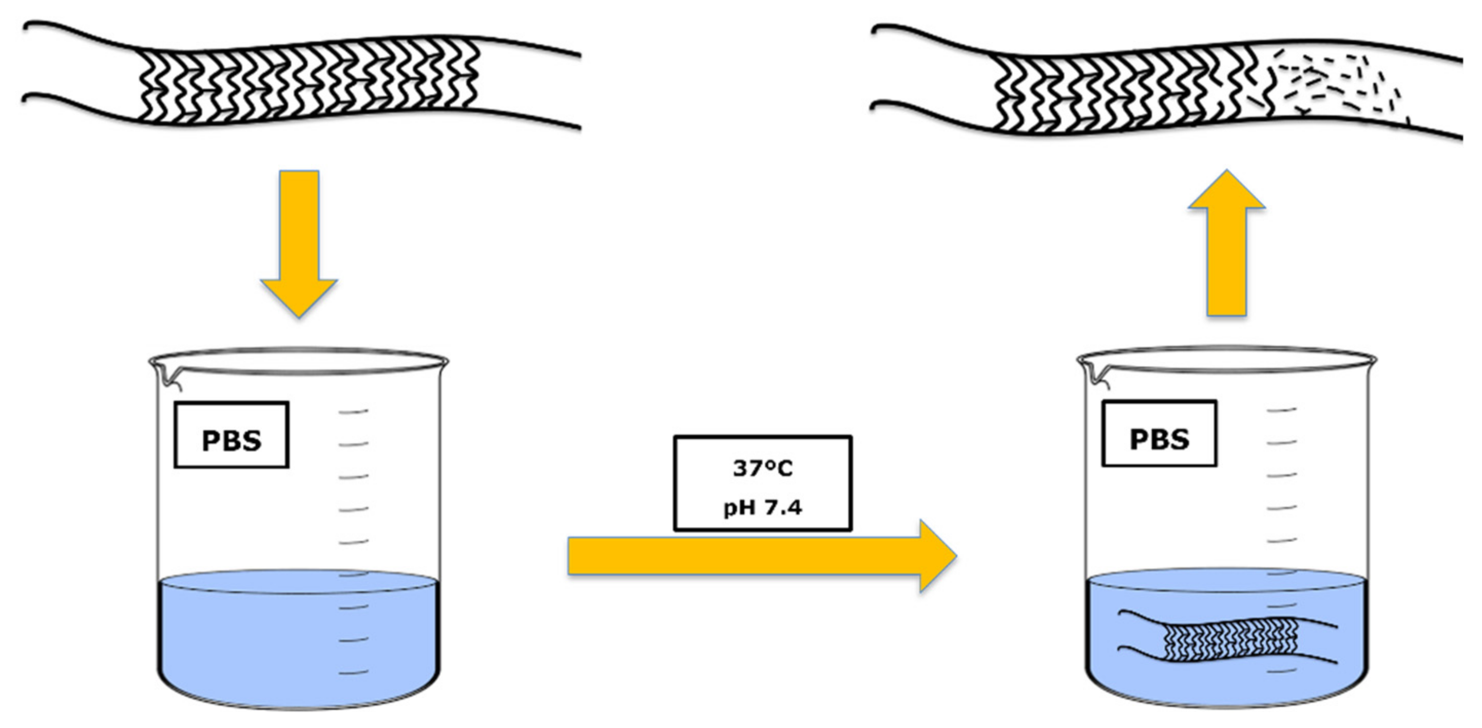 Polymers 14 01099 g002 Polymers 14 01099 g002