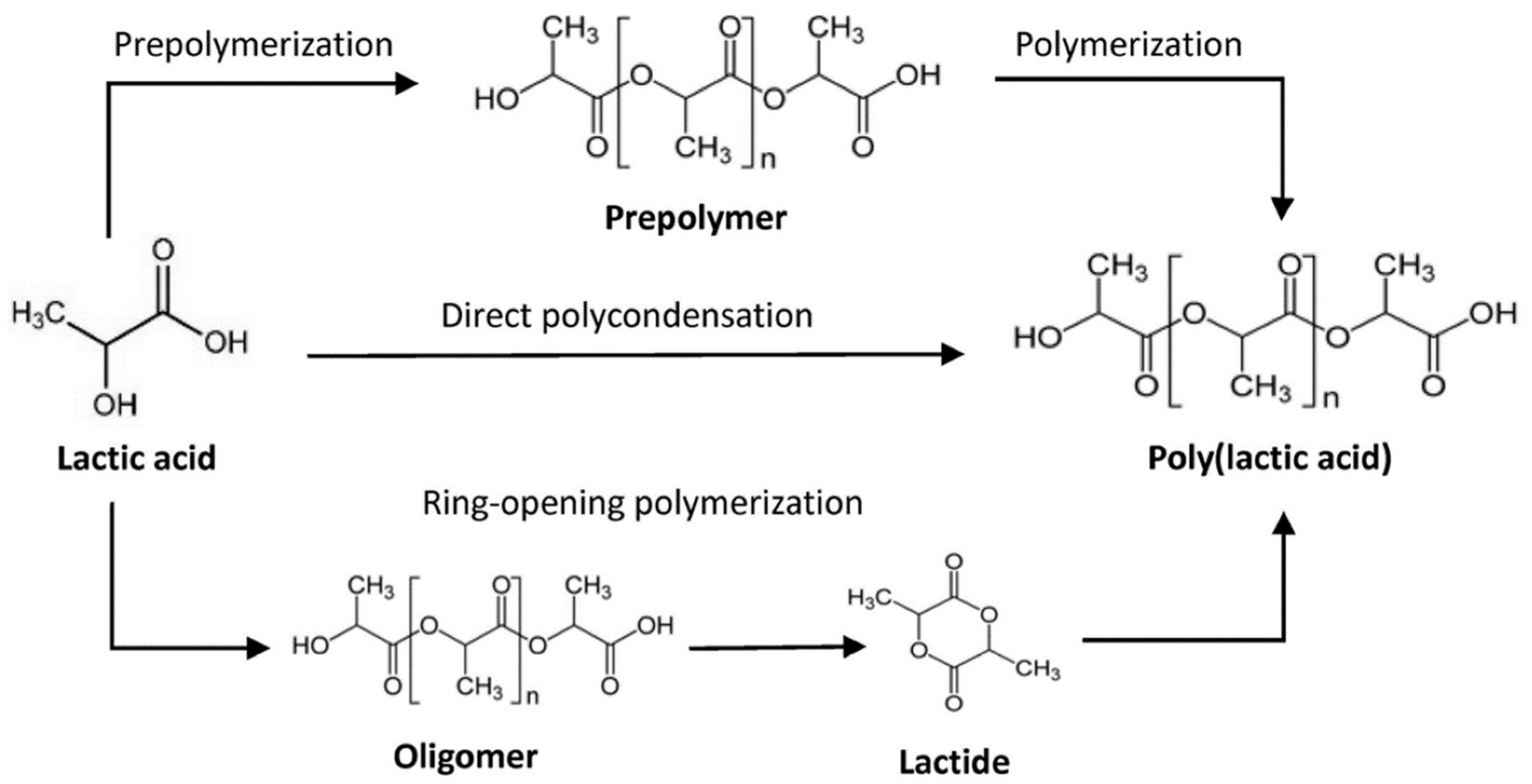Polymers 14 01099 g005 Polymers 14 01099 g005