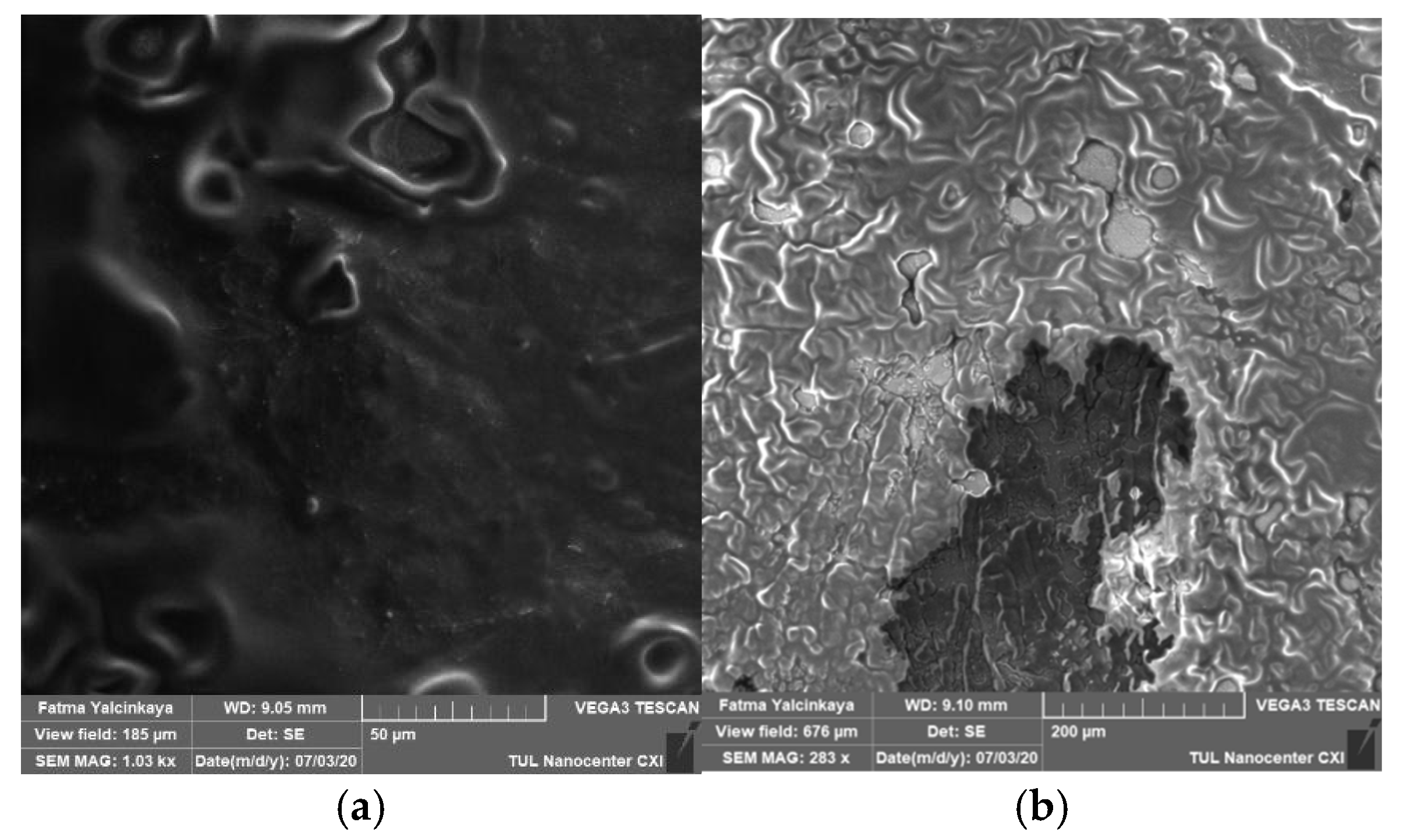 Polymers 14 01102 g004