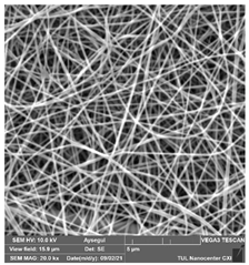 Polymers 14 01102 i001