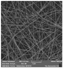 Polymers 14 01102 i002