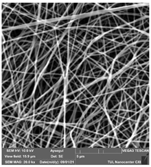 Polymers 14 01102 i003