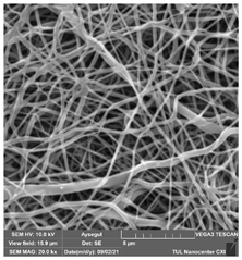Polymers 14 01102 i004
