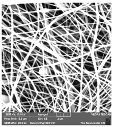 Polymers 14 01102 i005