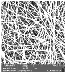 Polymers 14 01102 i006